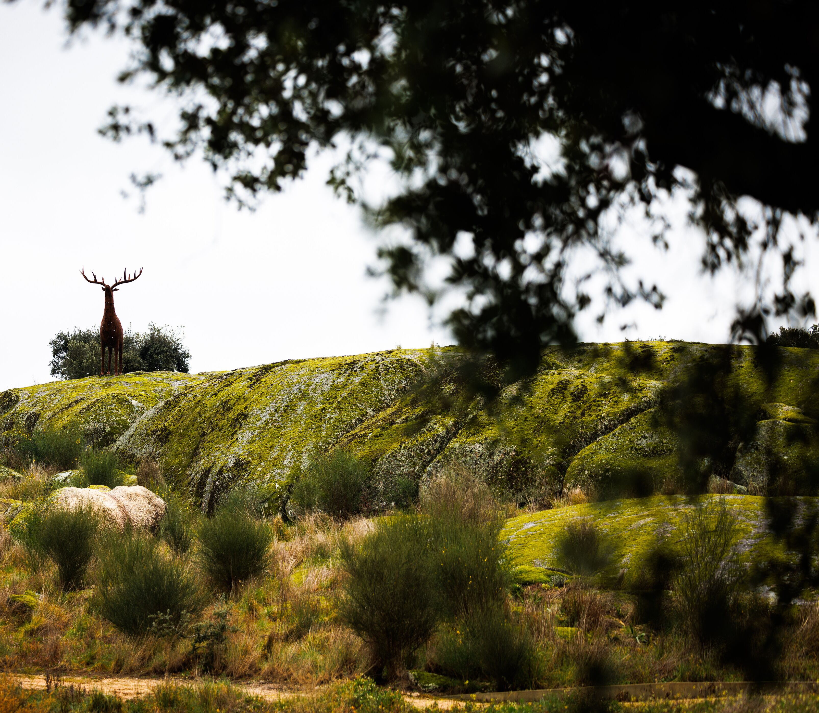 Herdade da Rocha - Boutique Lodge