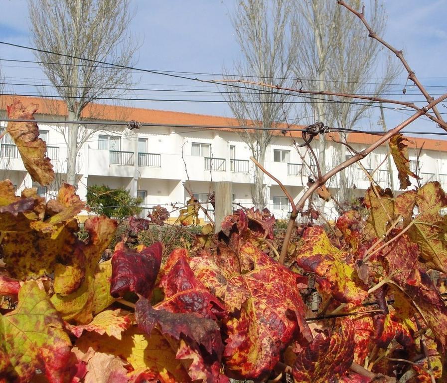 Estremoz Hotel