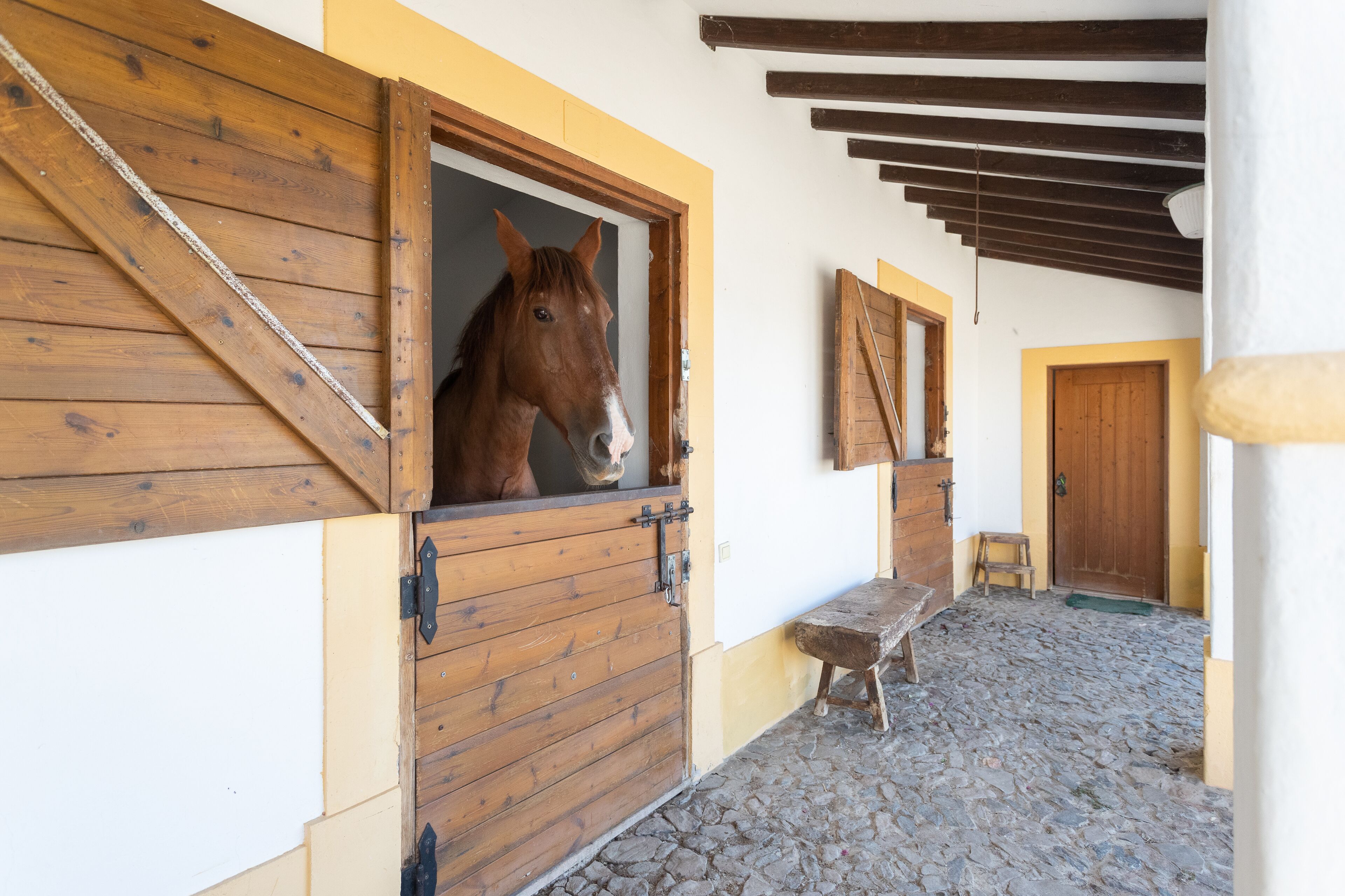 Rosa Estates The Farmhouse & Stables