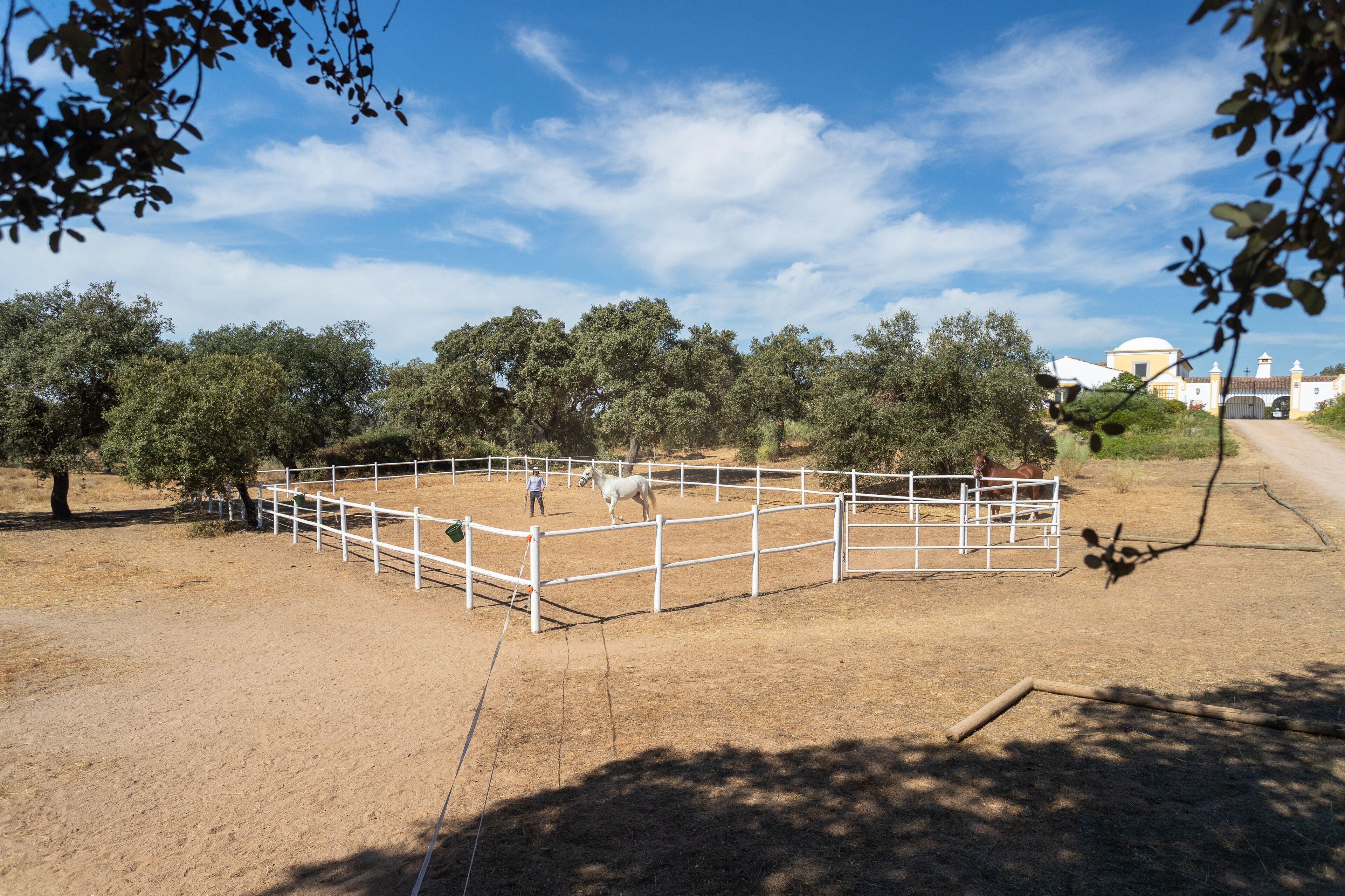 Rosa Estates The Farmhouse & Stables