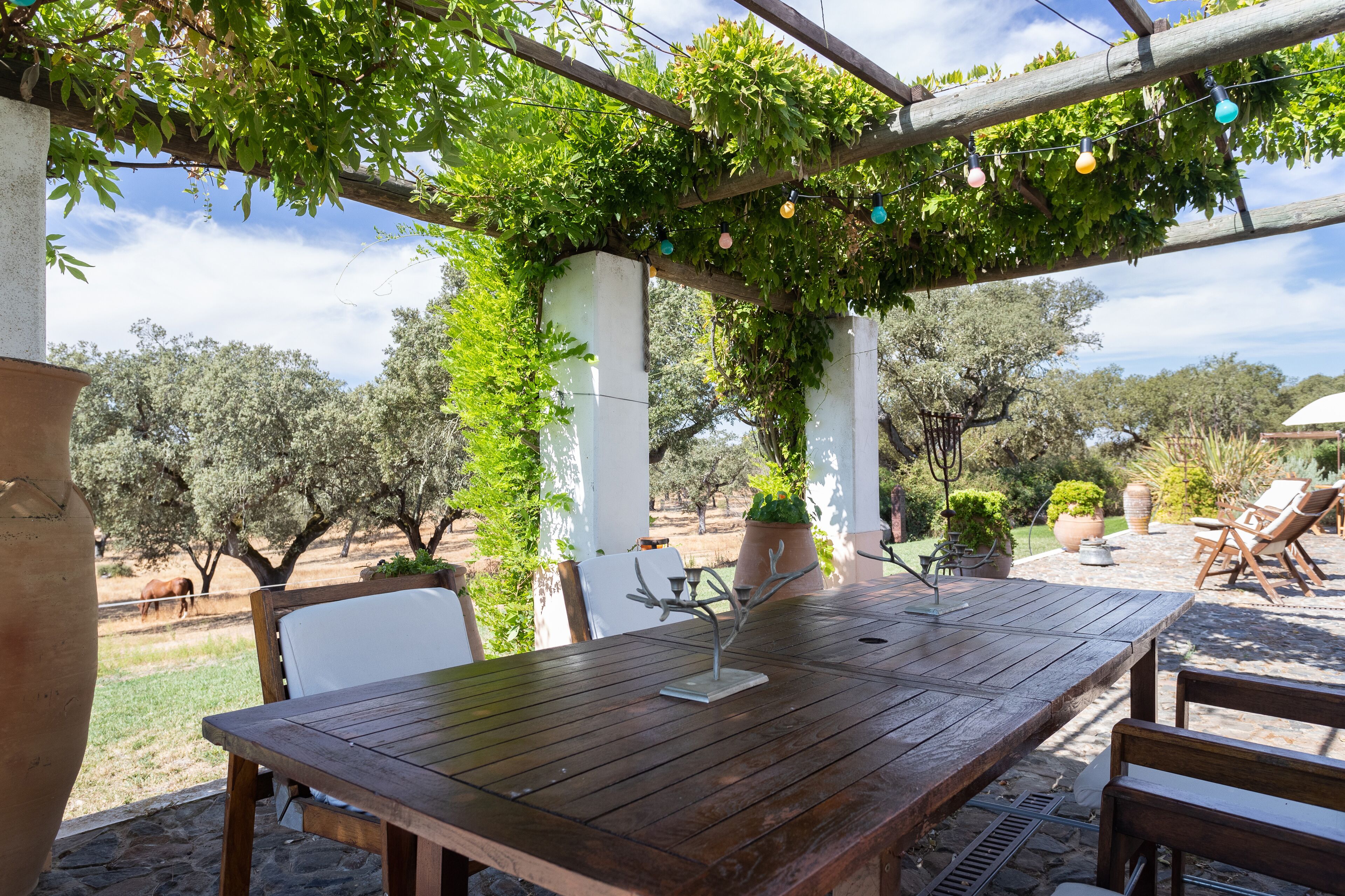 Rosa Estates The Farmhouse & Stables