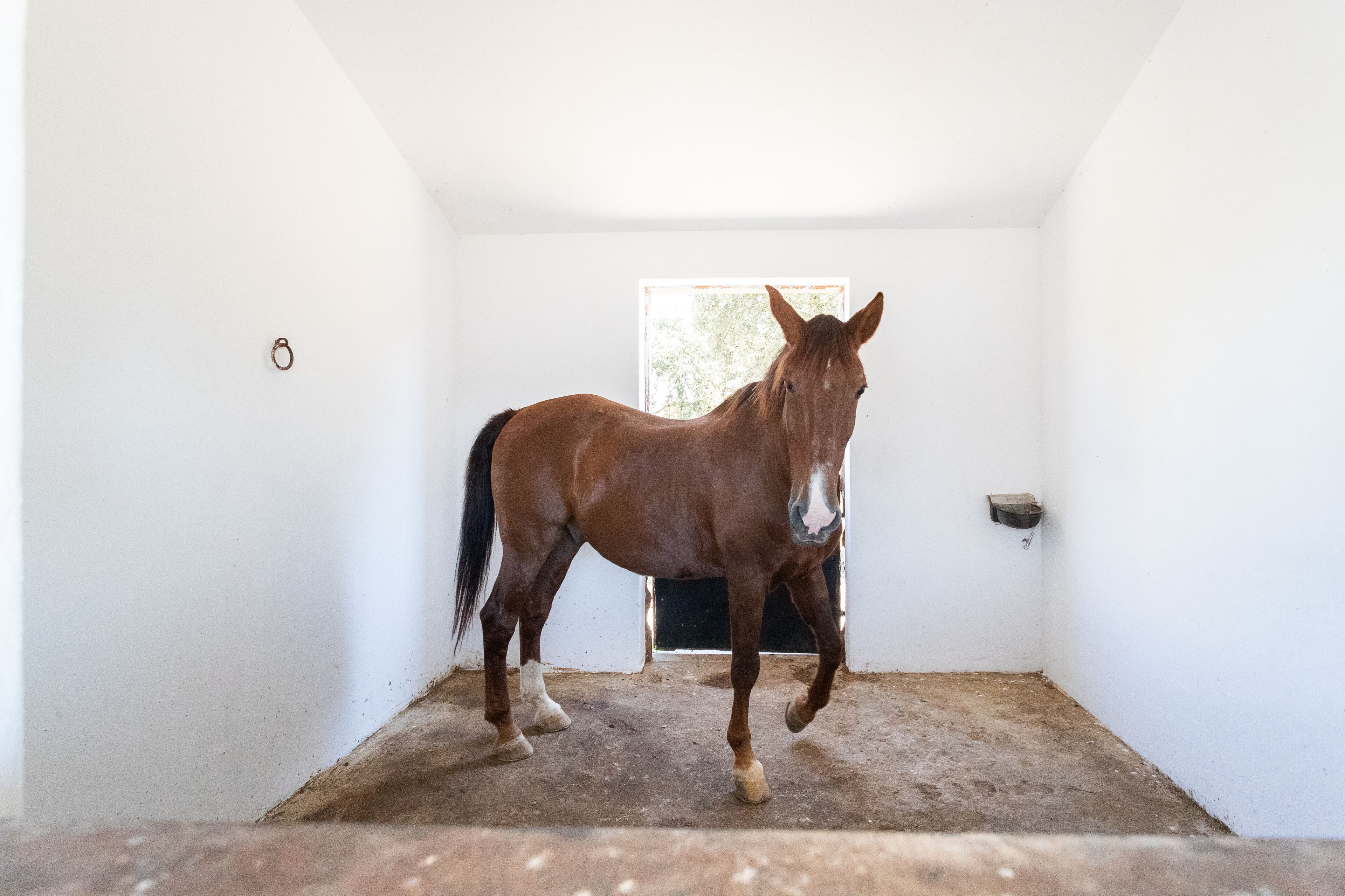 Rosa Estates The Farmhouse & Stables