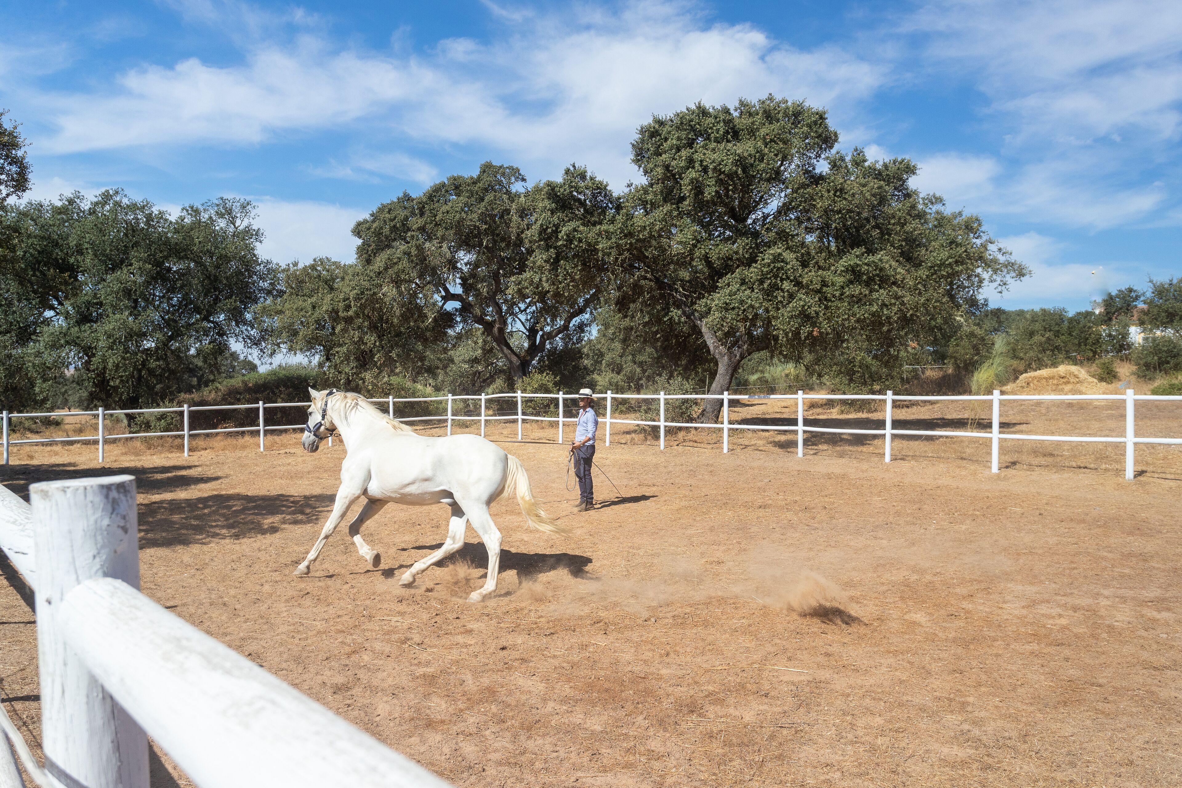 Rosa Estates The Farmhouse & Stables