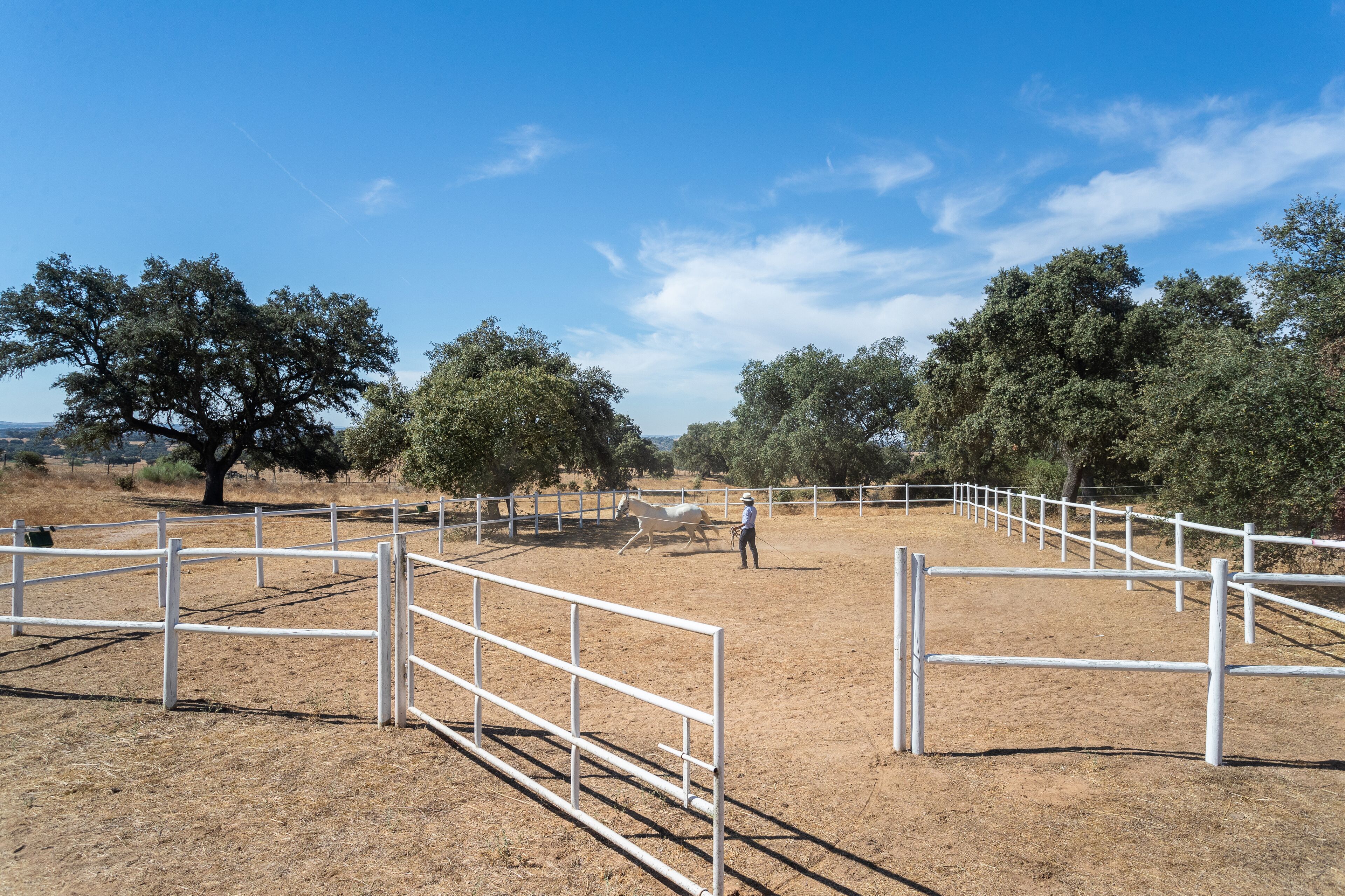 Rosa Estates The Farmhouse & Stables