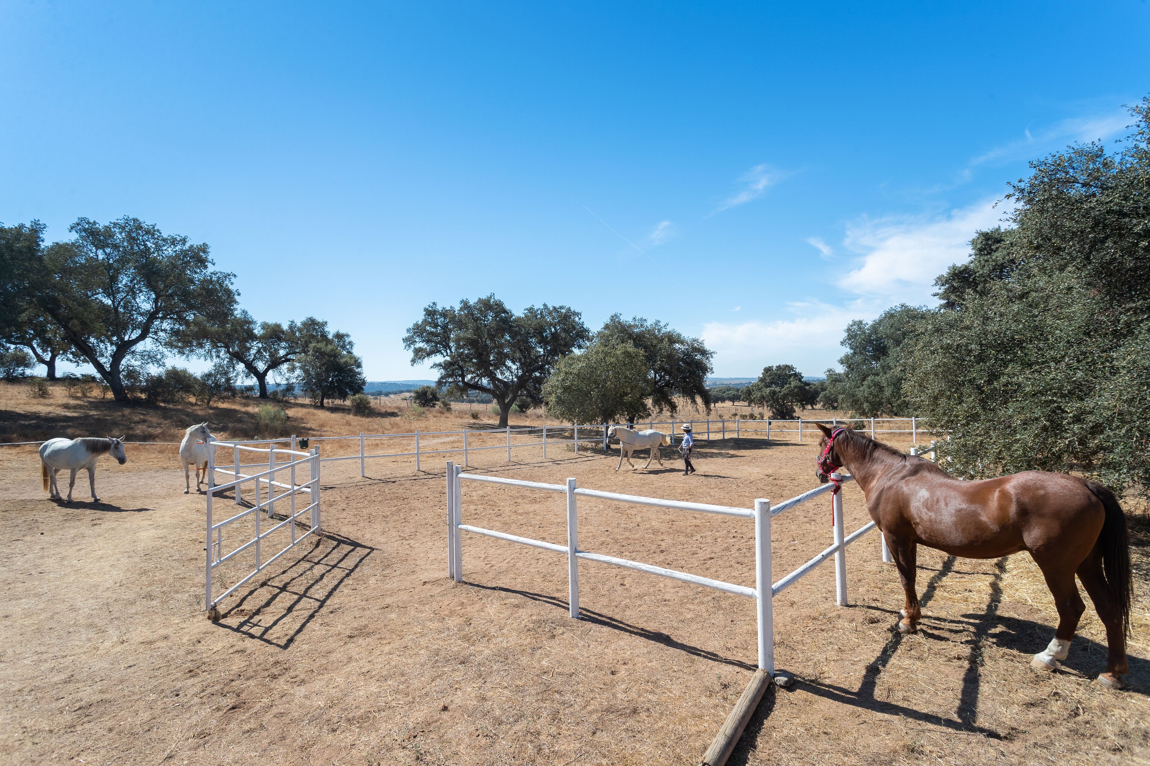 Rosa Estates The Farmhouse & Stables