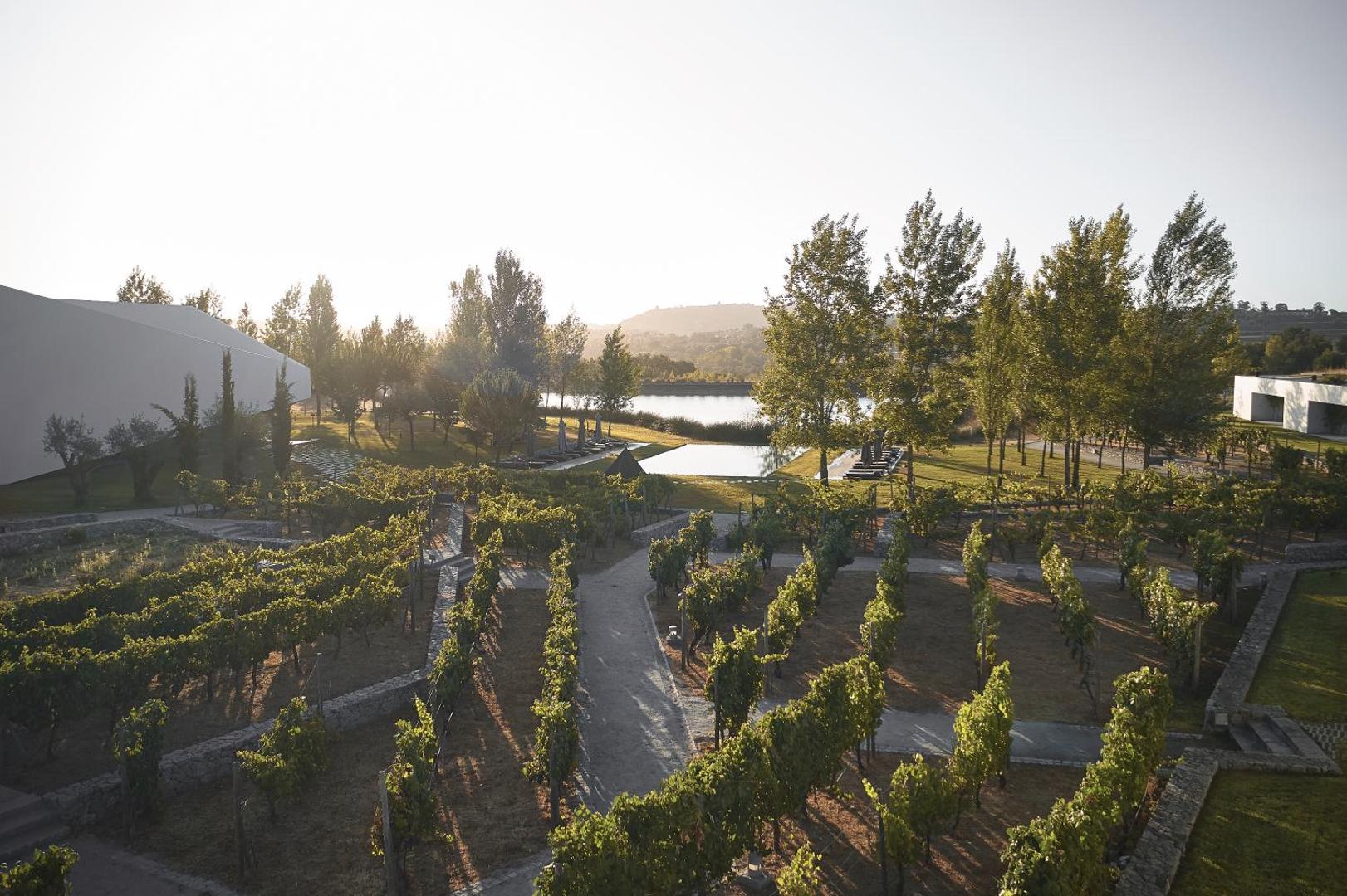 L'and Vineyards