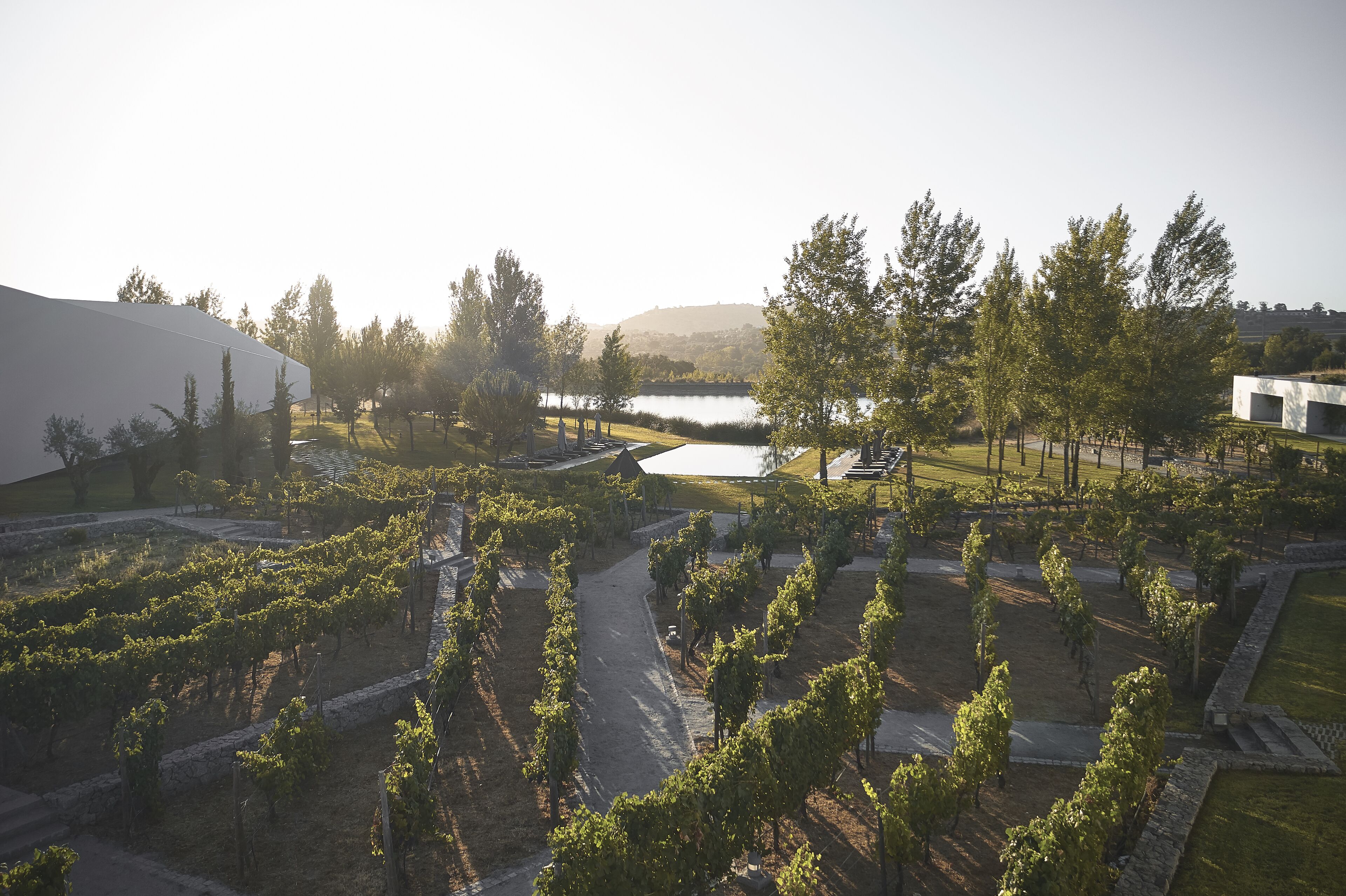 L'and Vineyards