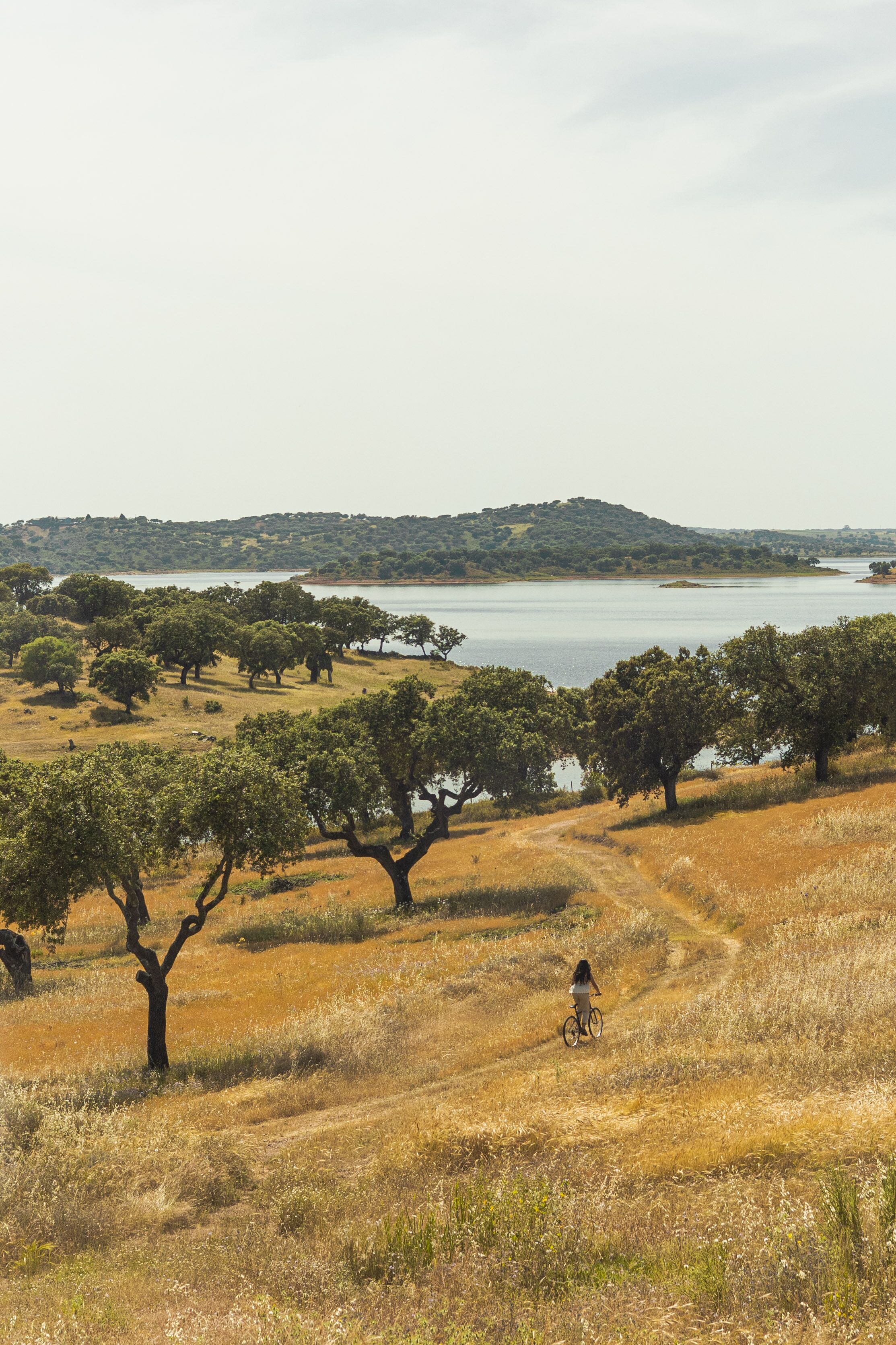 Herdade dos Delgados