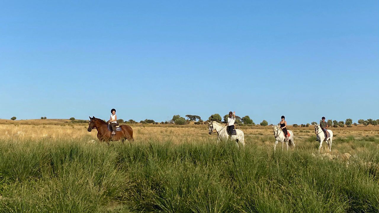 Herdade dos Delgados