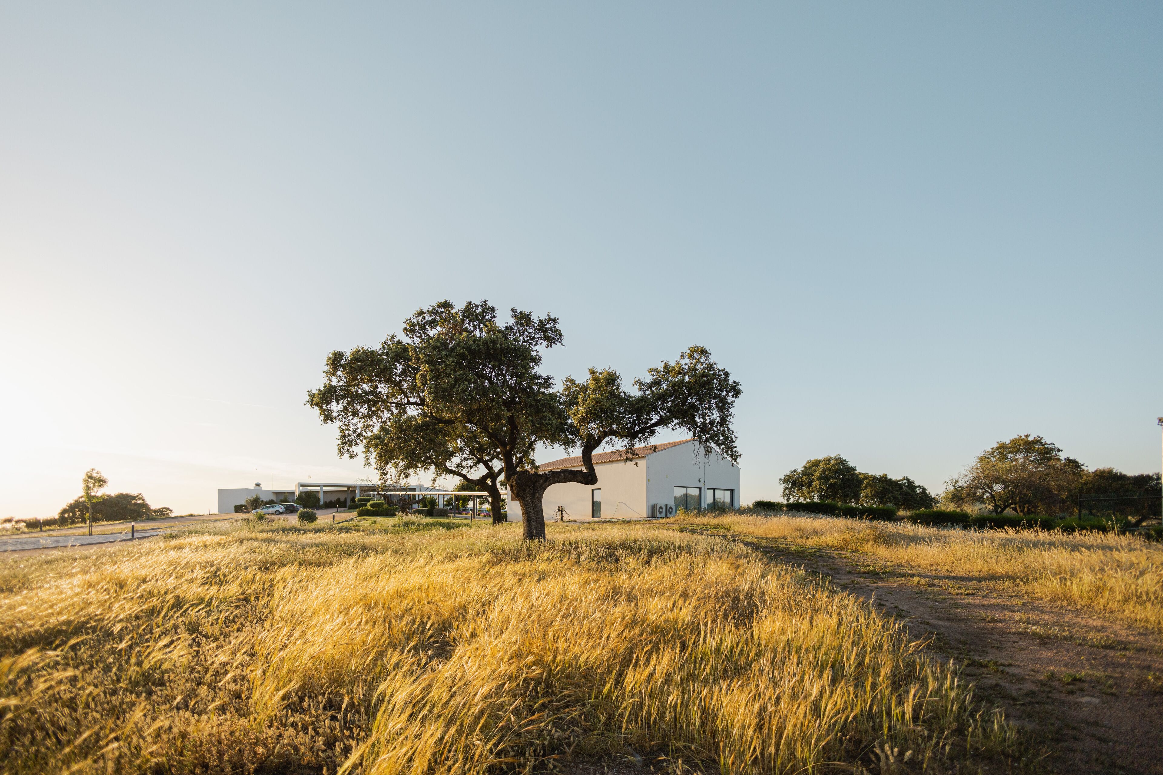 Herdade dos Delgados