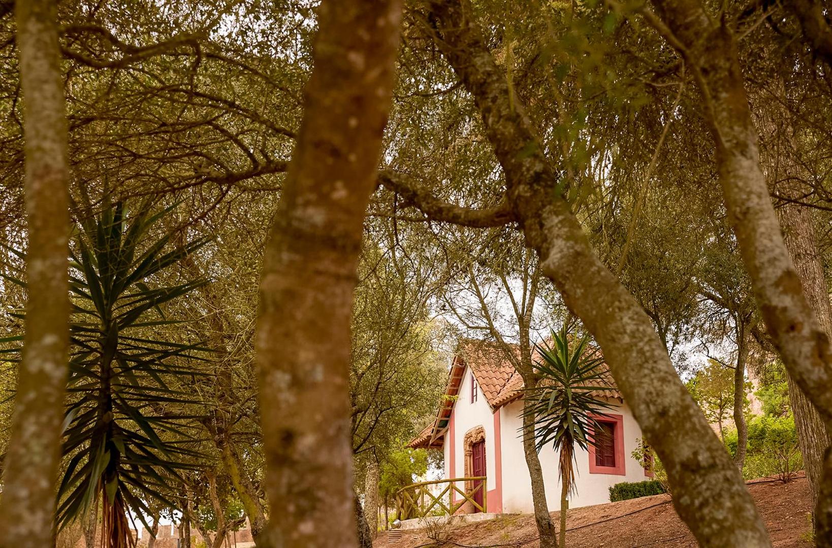 Octant Hotels Santiago