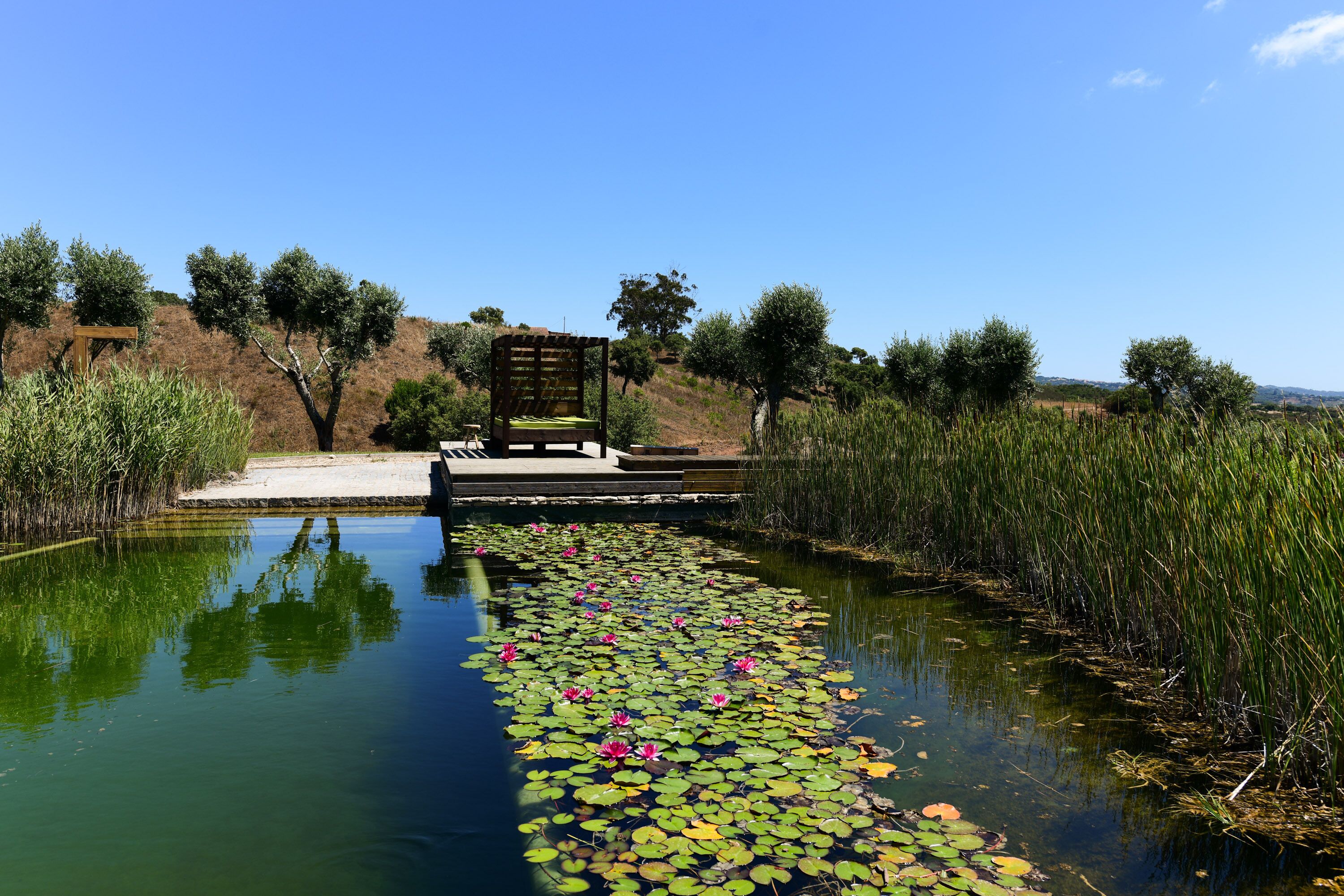 Reserva Alecrim EcoSuite & Glamping Reserva Alecrim EcoSuite & Glamping