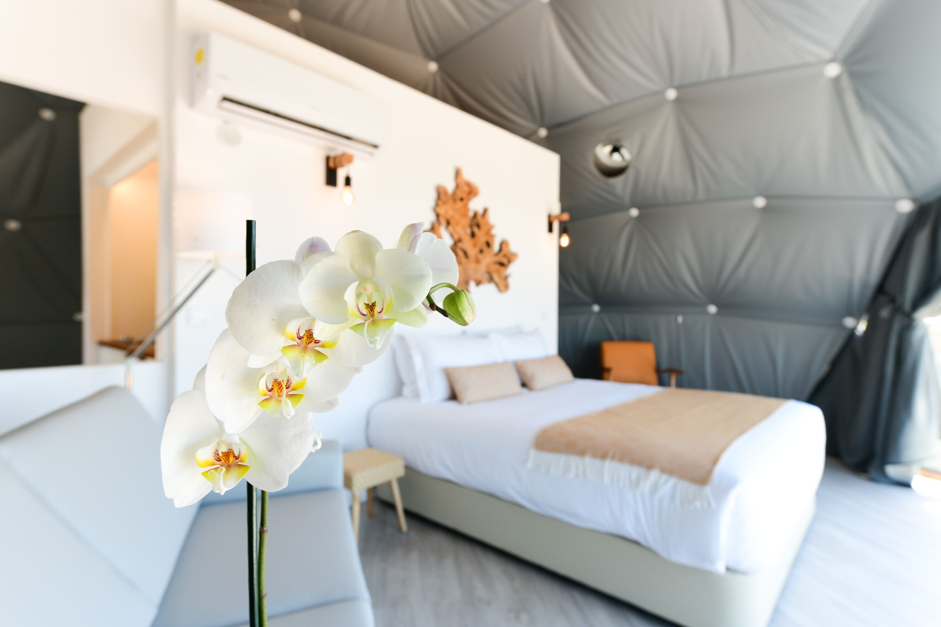 Reserva Alecrim EcoSuite & Glamping Reserva Alecrim EcoSuite & Glamping