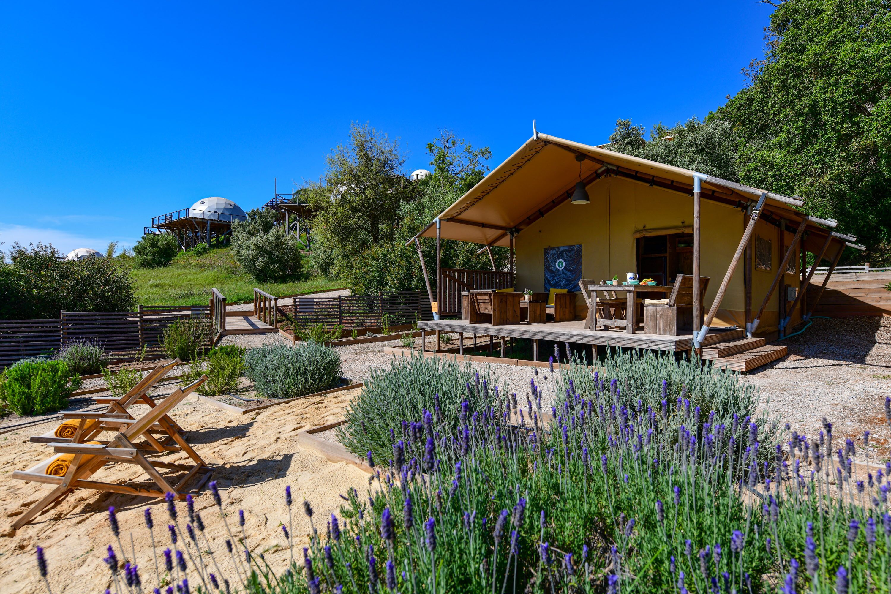 Reserva Alecrim EcoSuite & Glamping Reserva Alecrim EcoSuite & Glamping