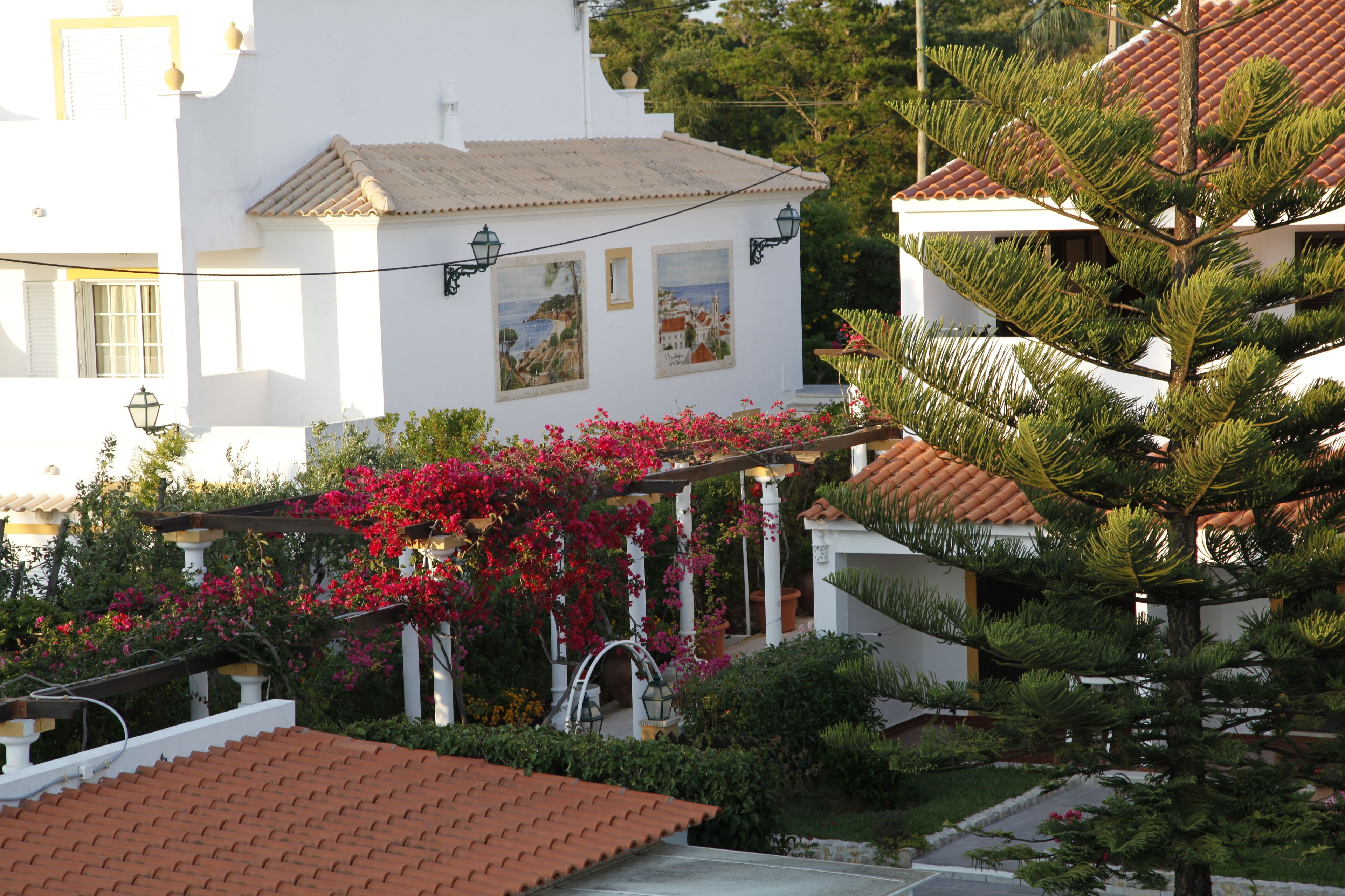 Balaia Sol