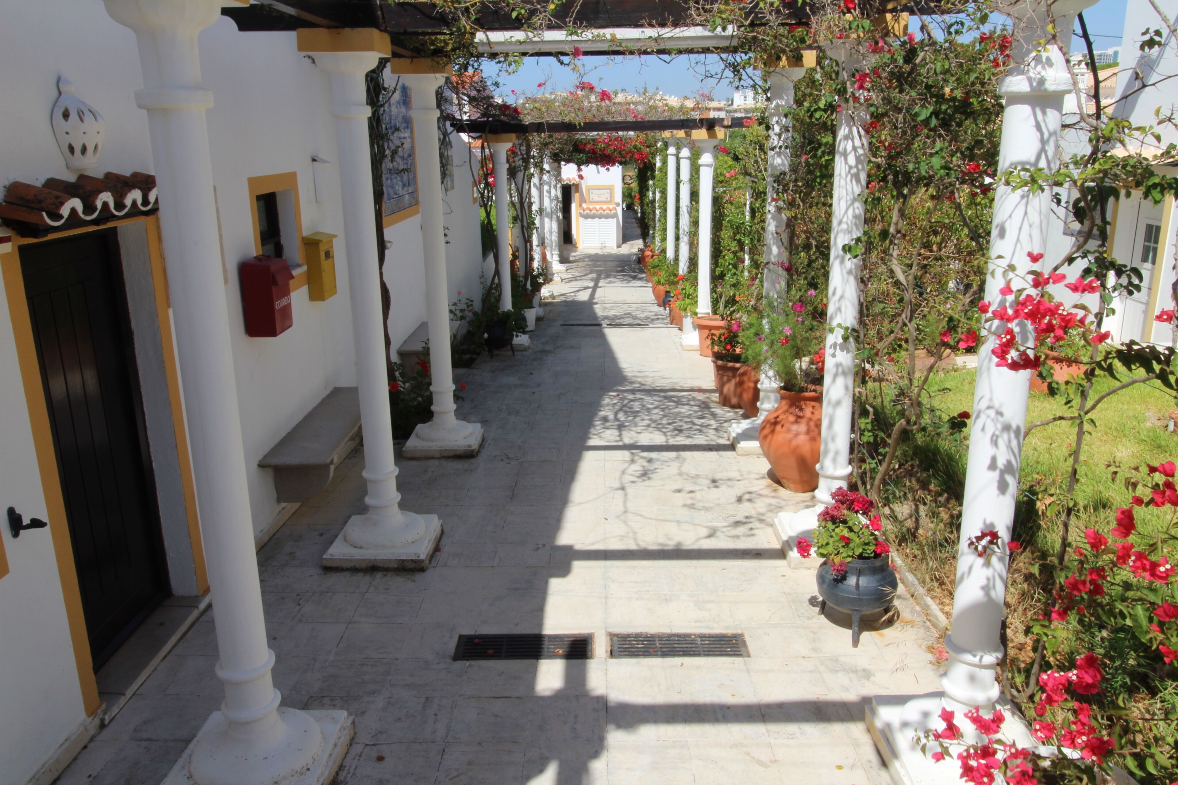 Balaia Sol