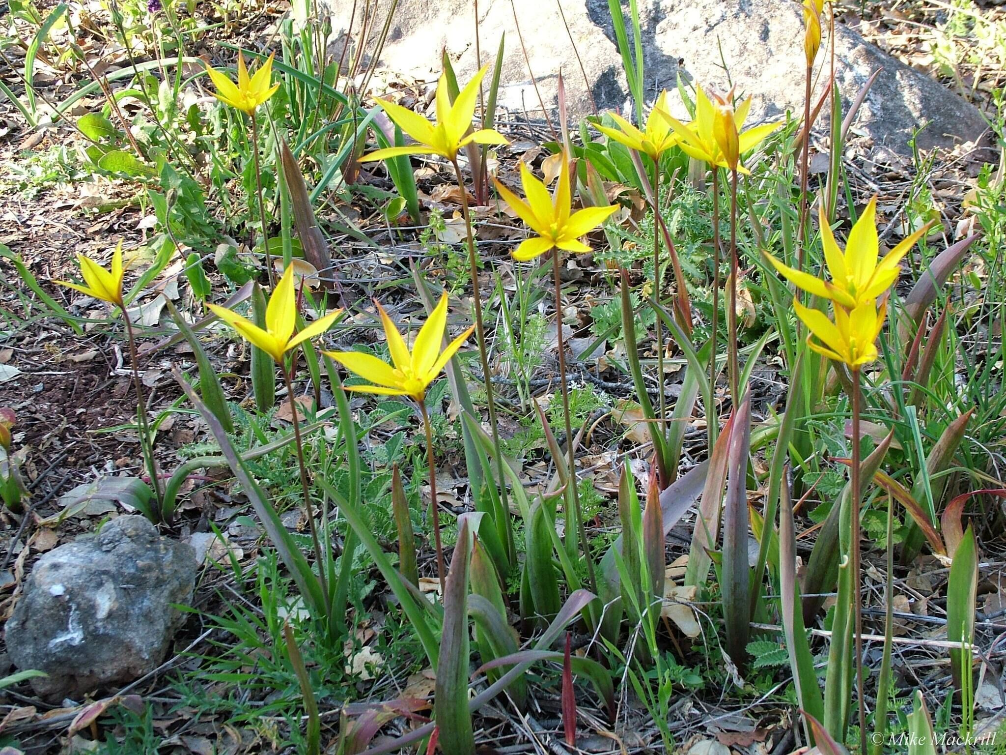 Casa do Forno - Quinta Amoreira
