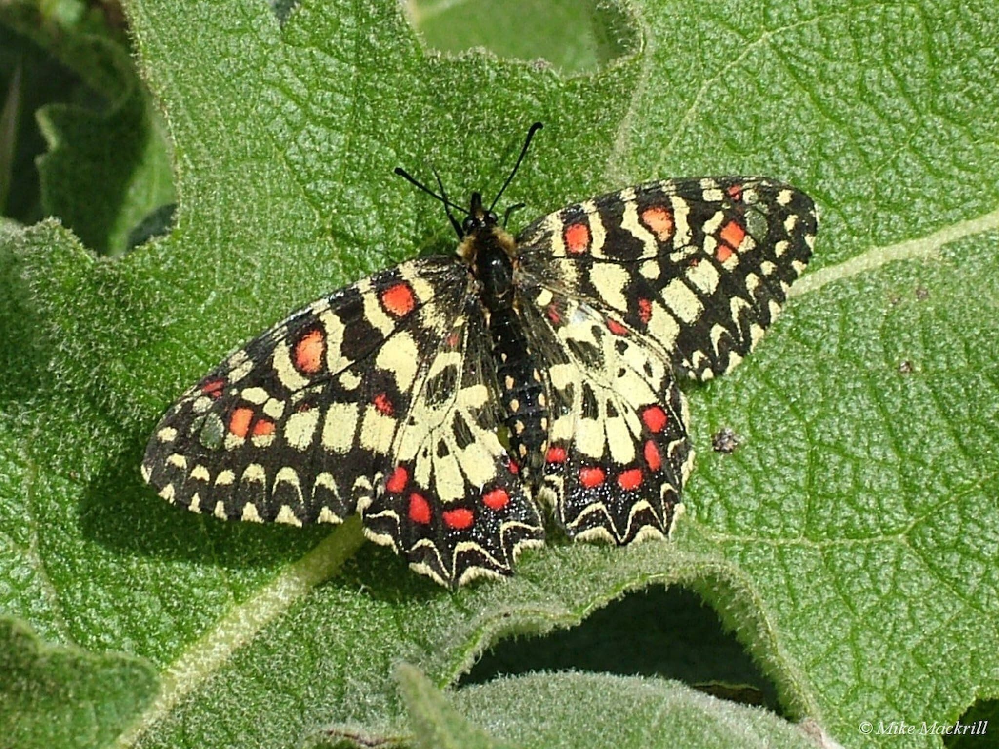 Casa do Forno - Quinta Amoreira