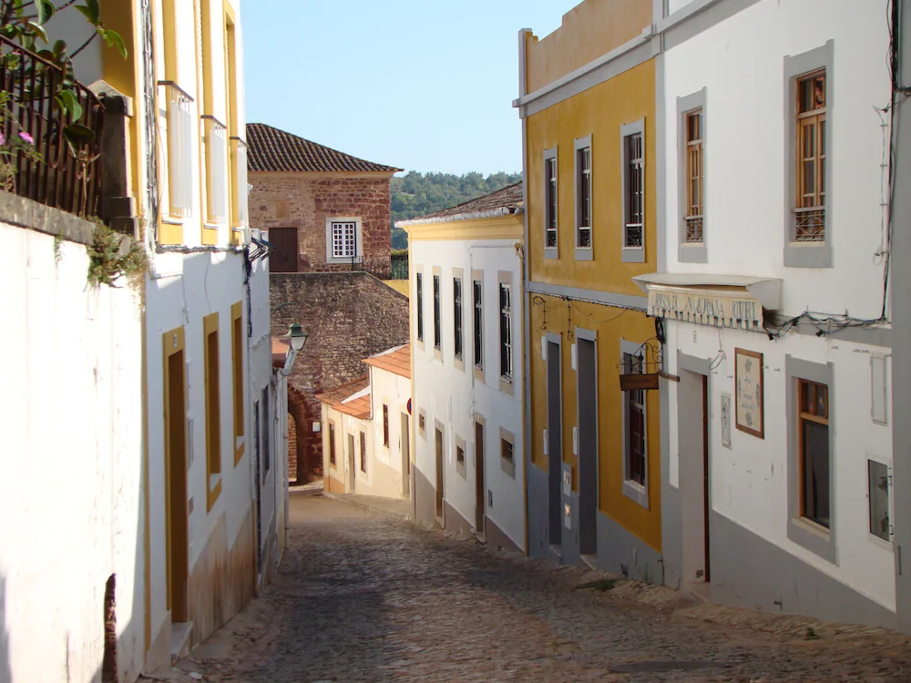 Gato Preto De Silves