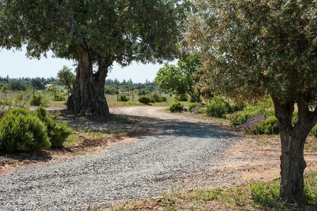 Pensao Agricola