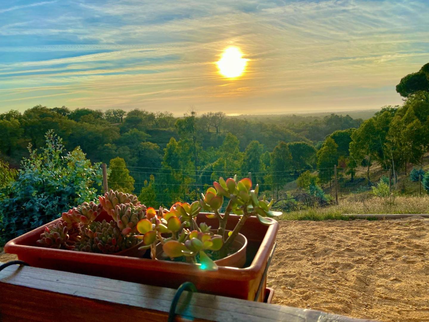 Montum Farm Living