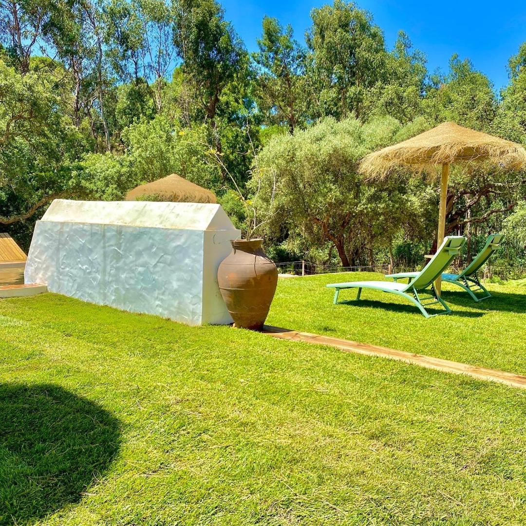 Montum Farm Living