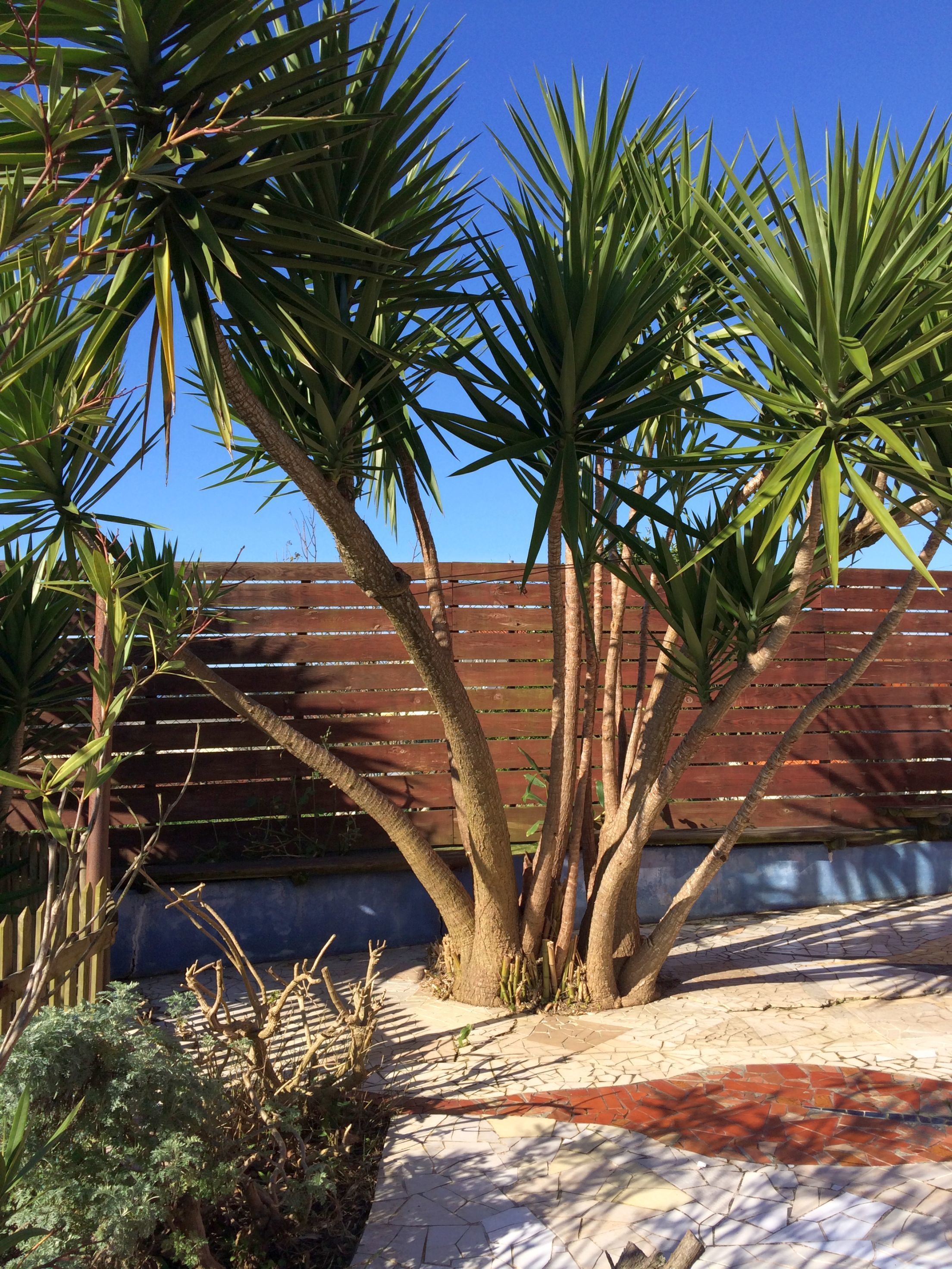 Casa das Tres Aguias