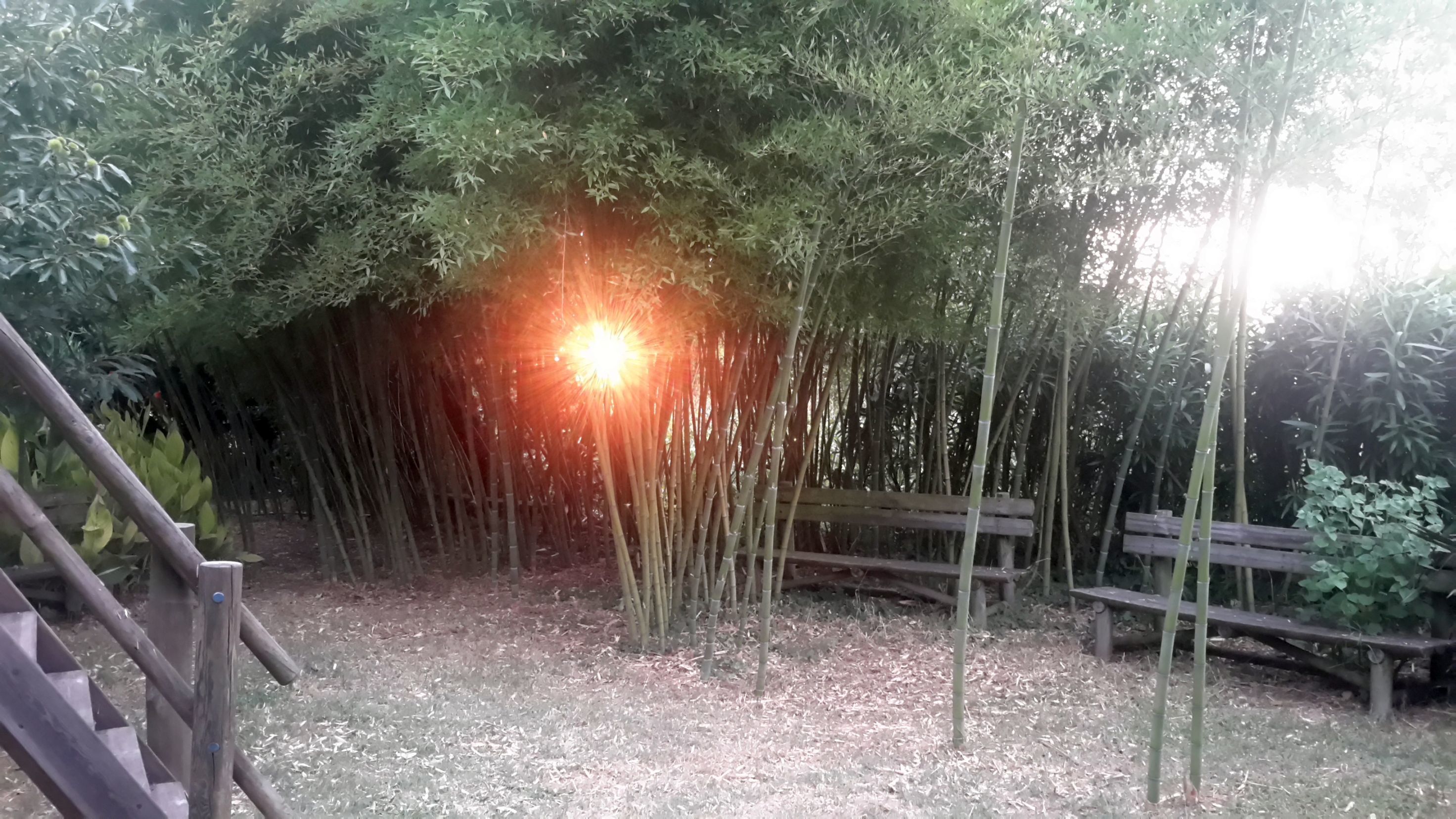 Casa das Tres Aguias