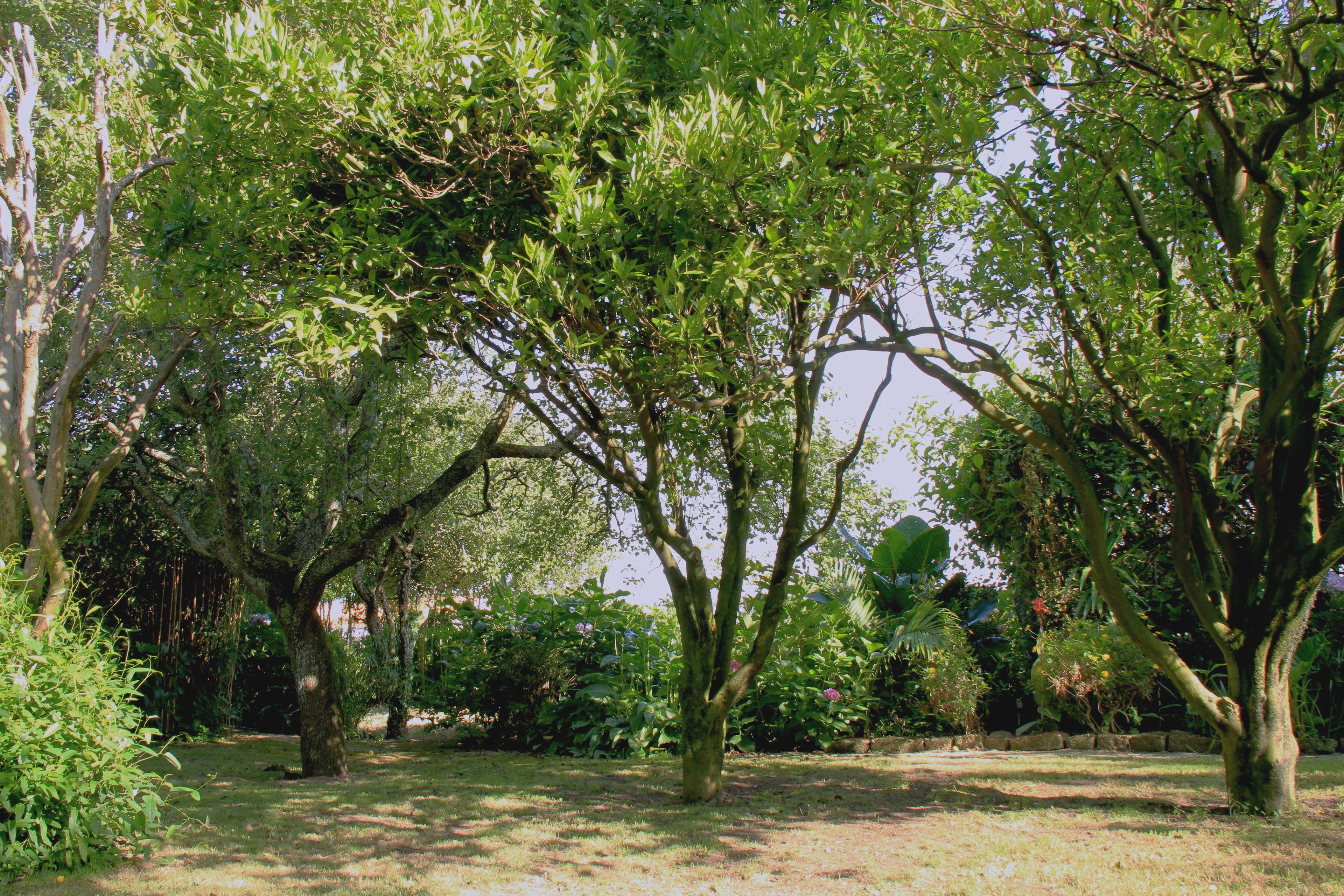 Casa das Tres Aguias