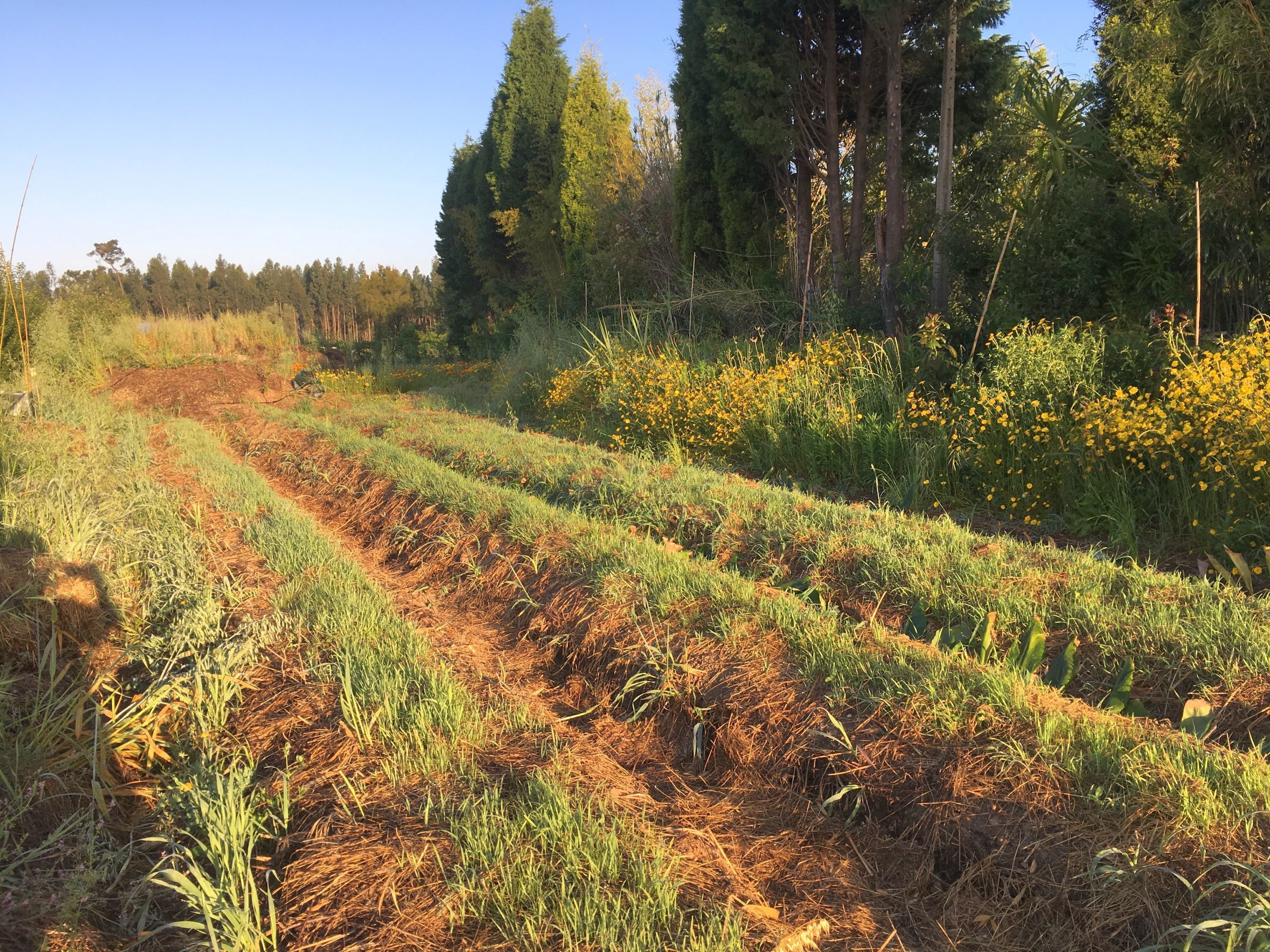 Casa das Tres Aguias