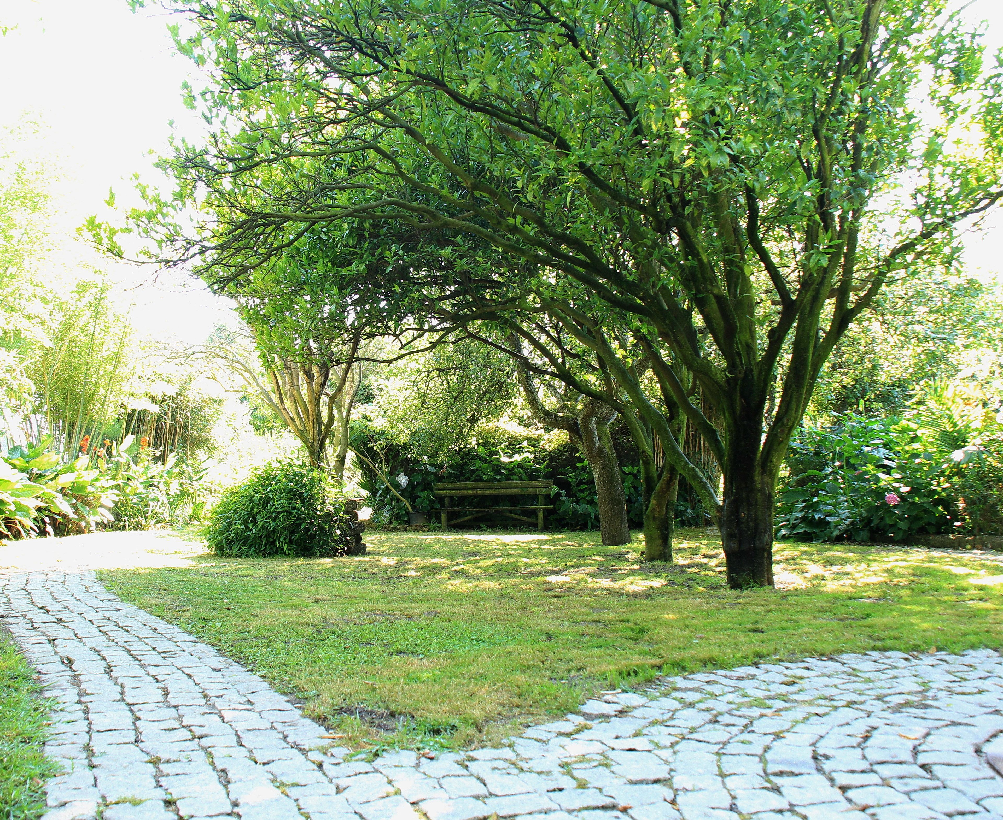 Casa das Tres Aguias