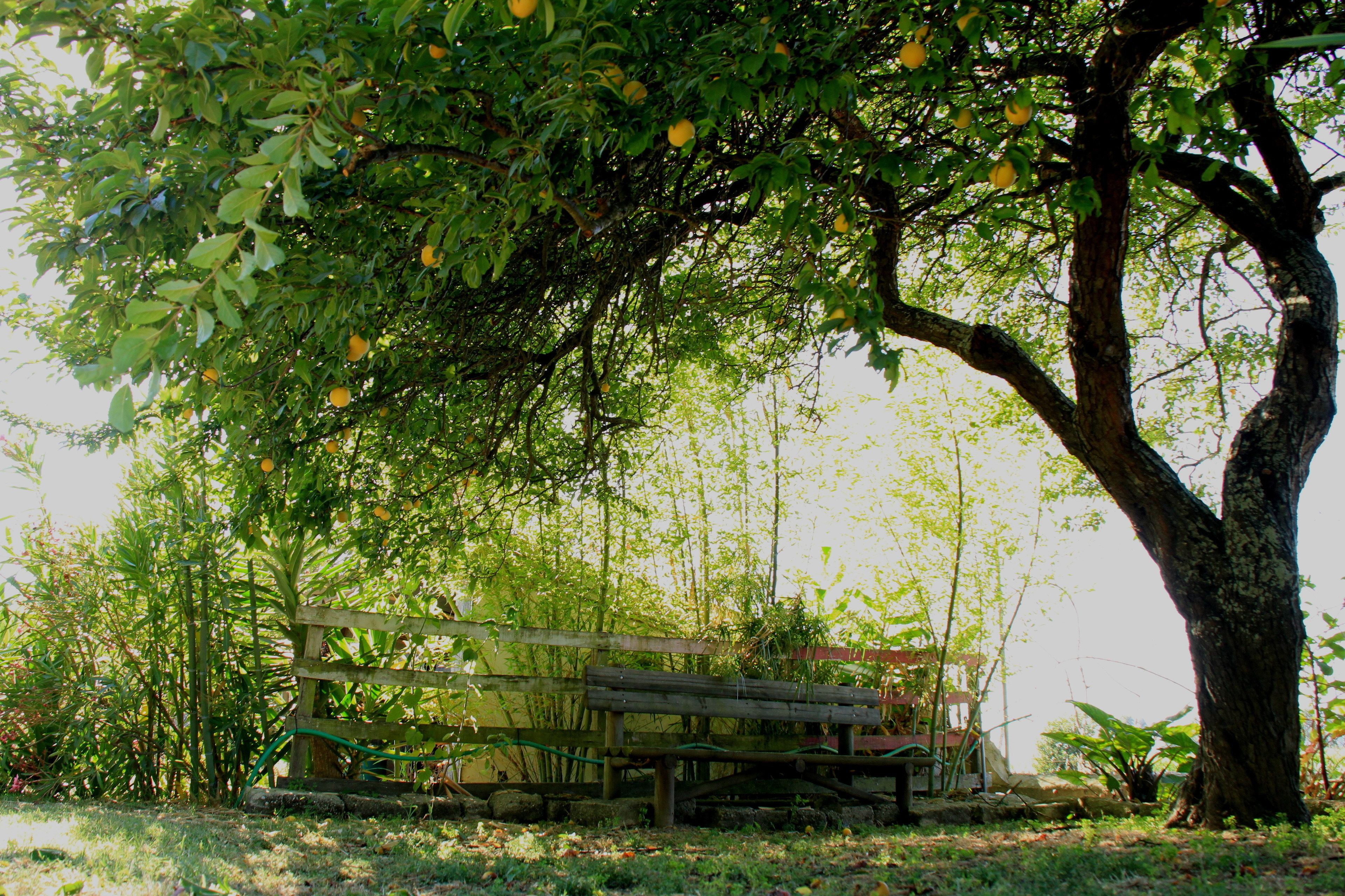 Casa das Tres Aguias