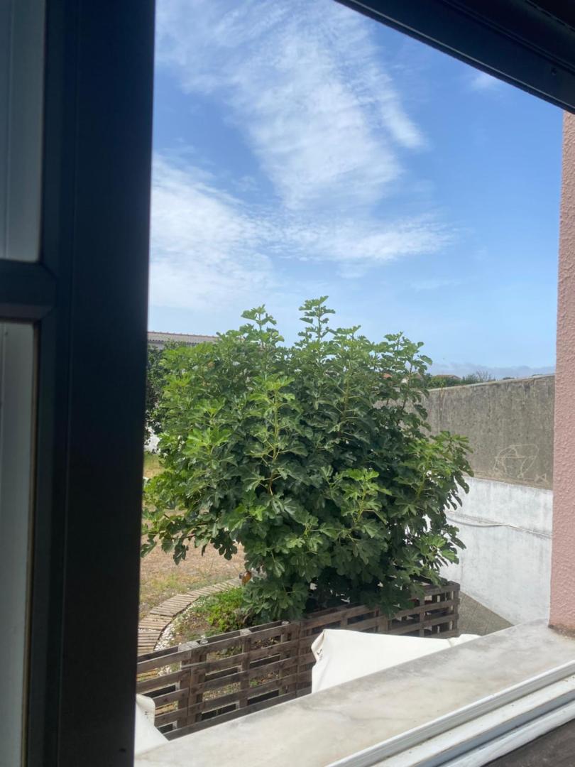 Garden Hostel