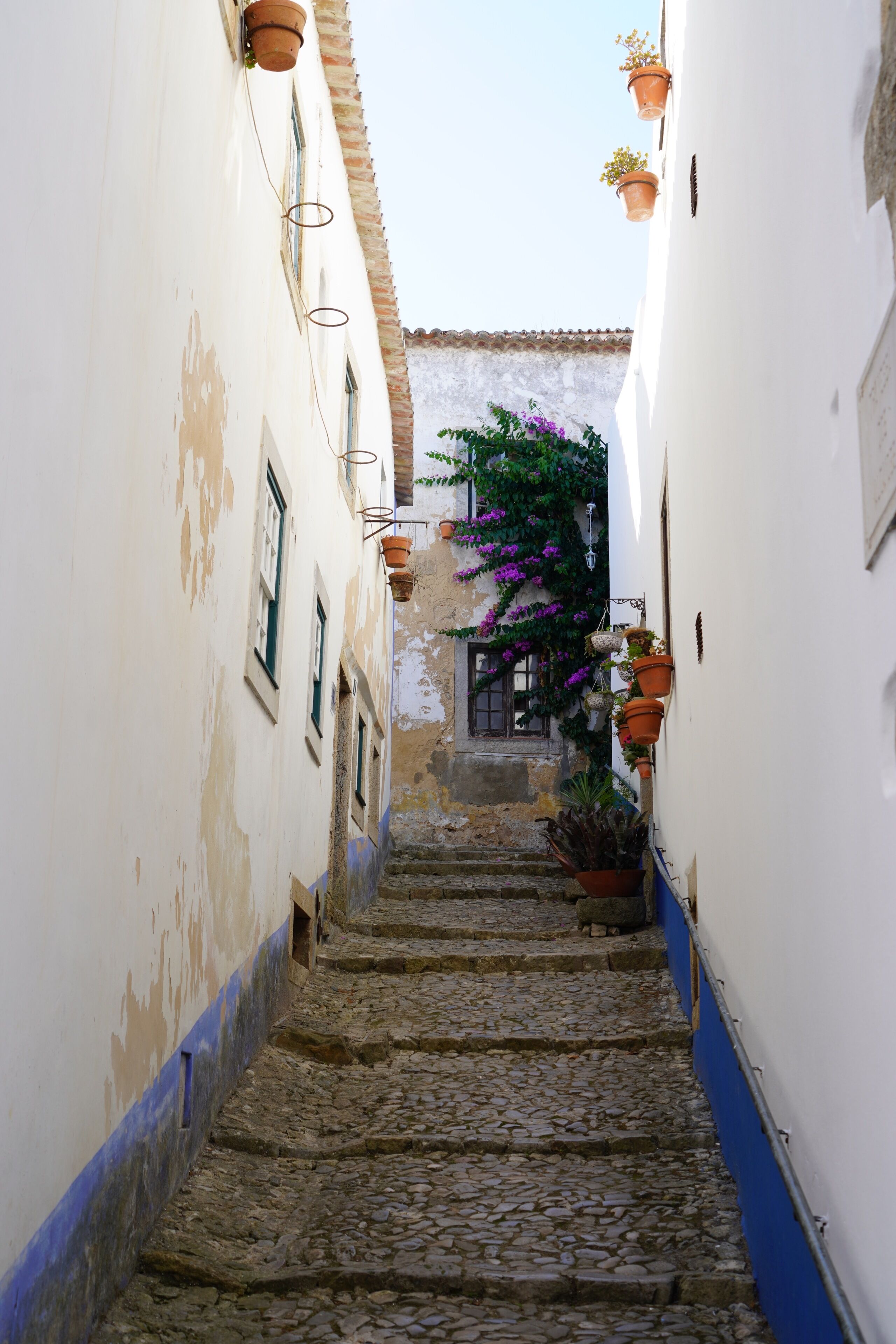 Casa Artelena