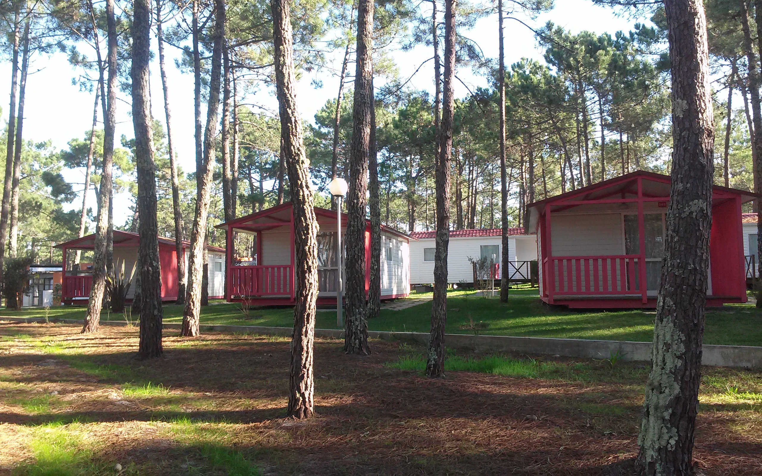 Orbitur Vagueira