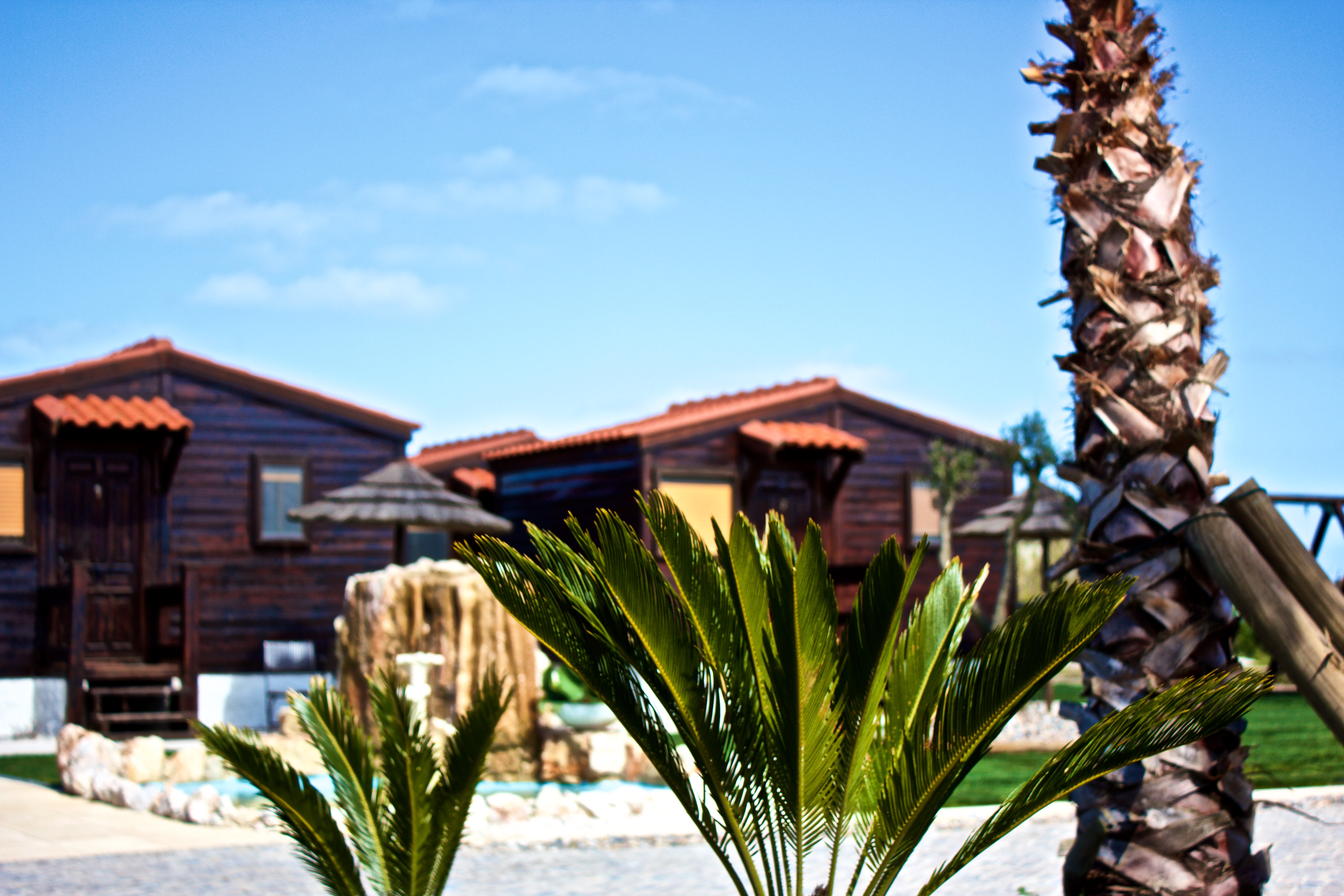 Hotel Neptuno