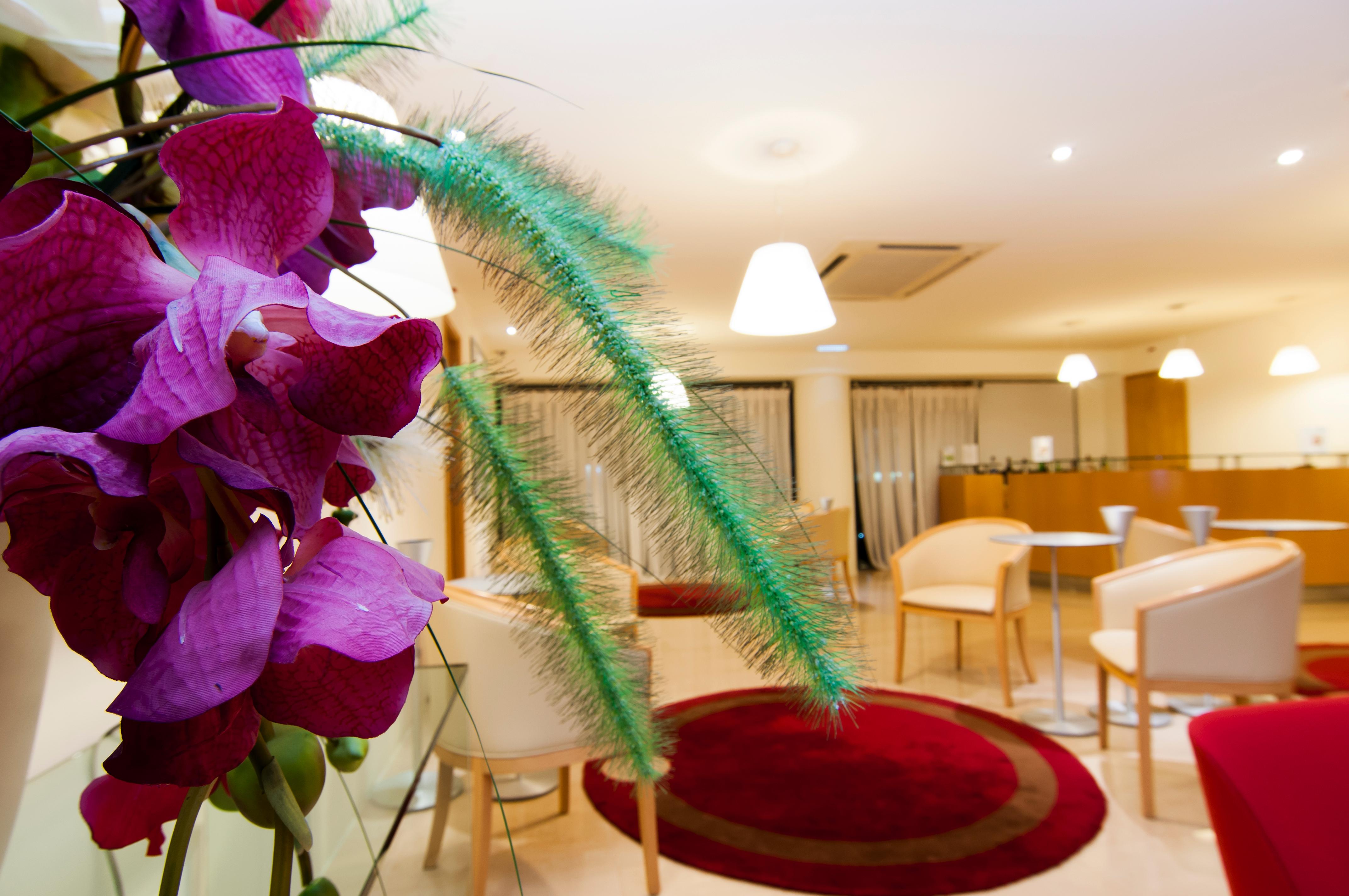 Hotel Mare