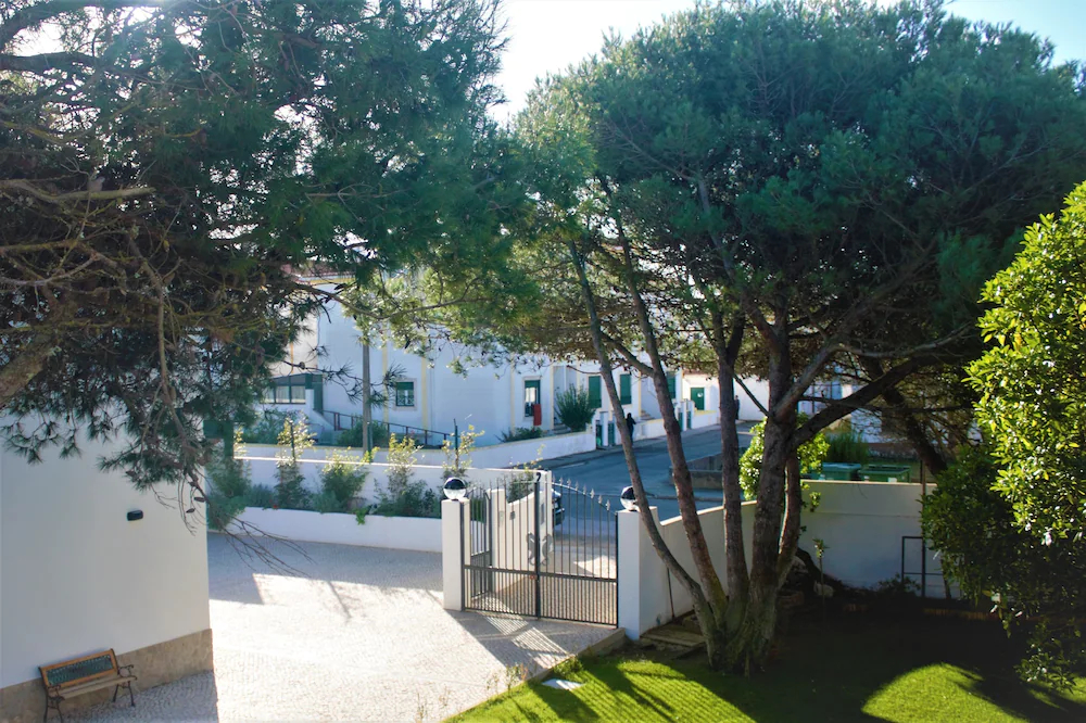 Silver Seahorse Garden Retreat