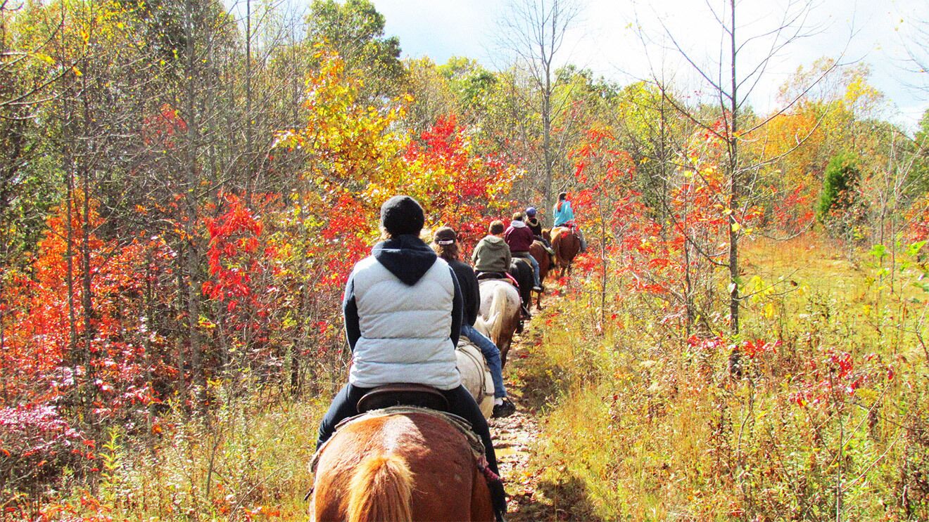 Pousadela Village Among Nature