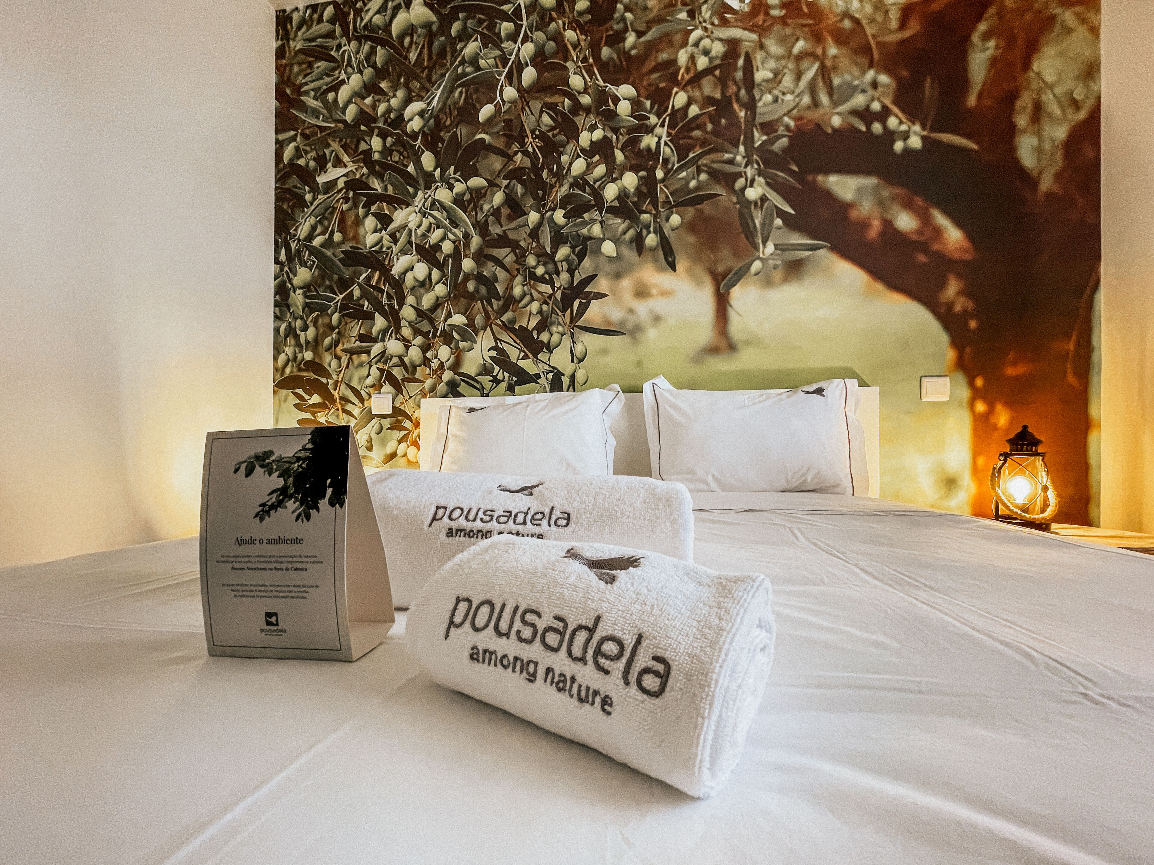 Pousadela Village Among Nature