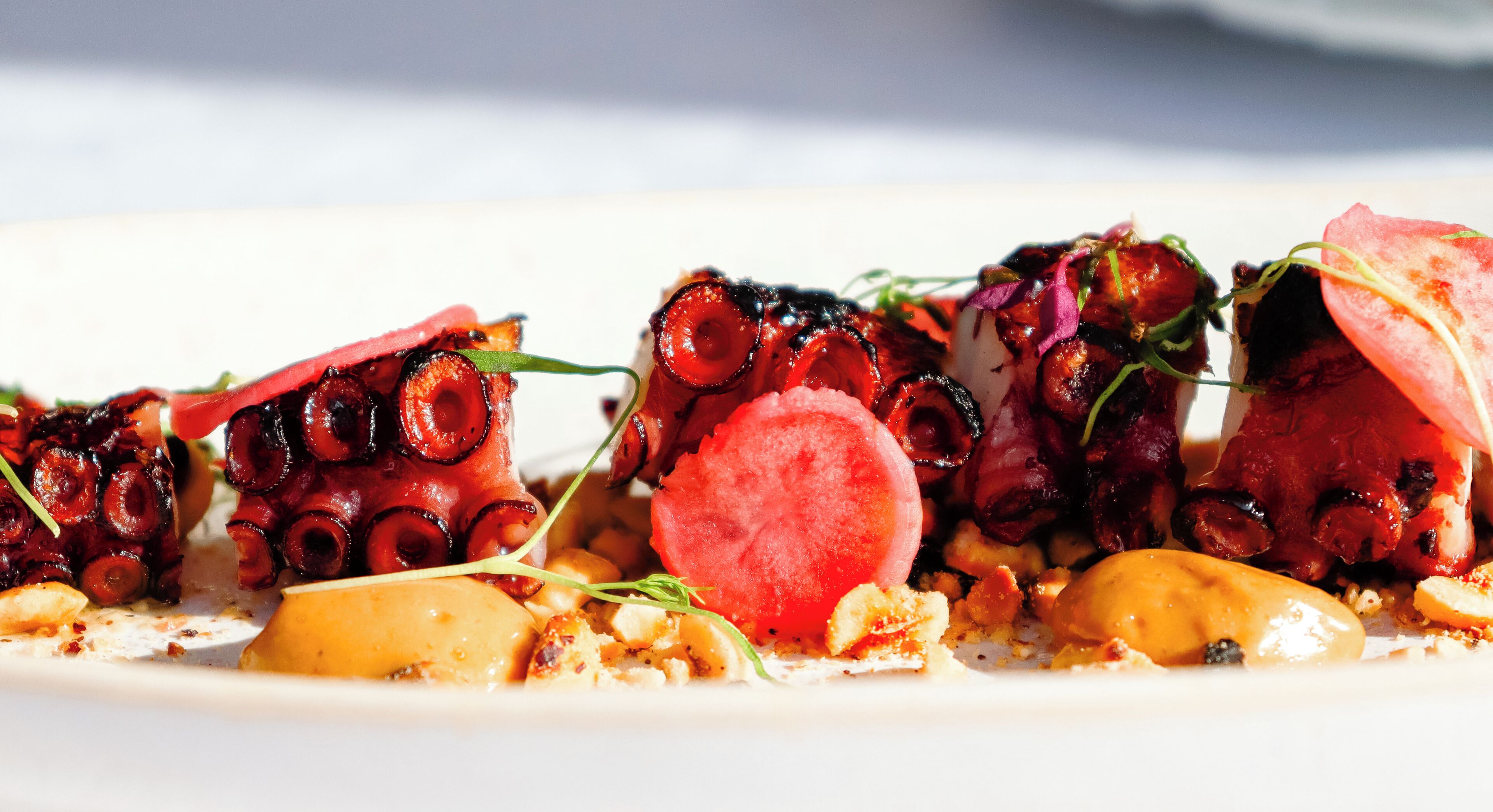 Pousadela Village Among Nature