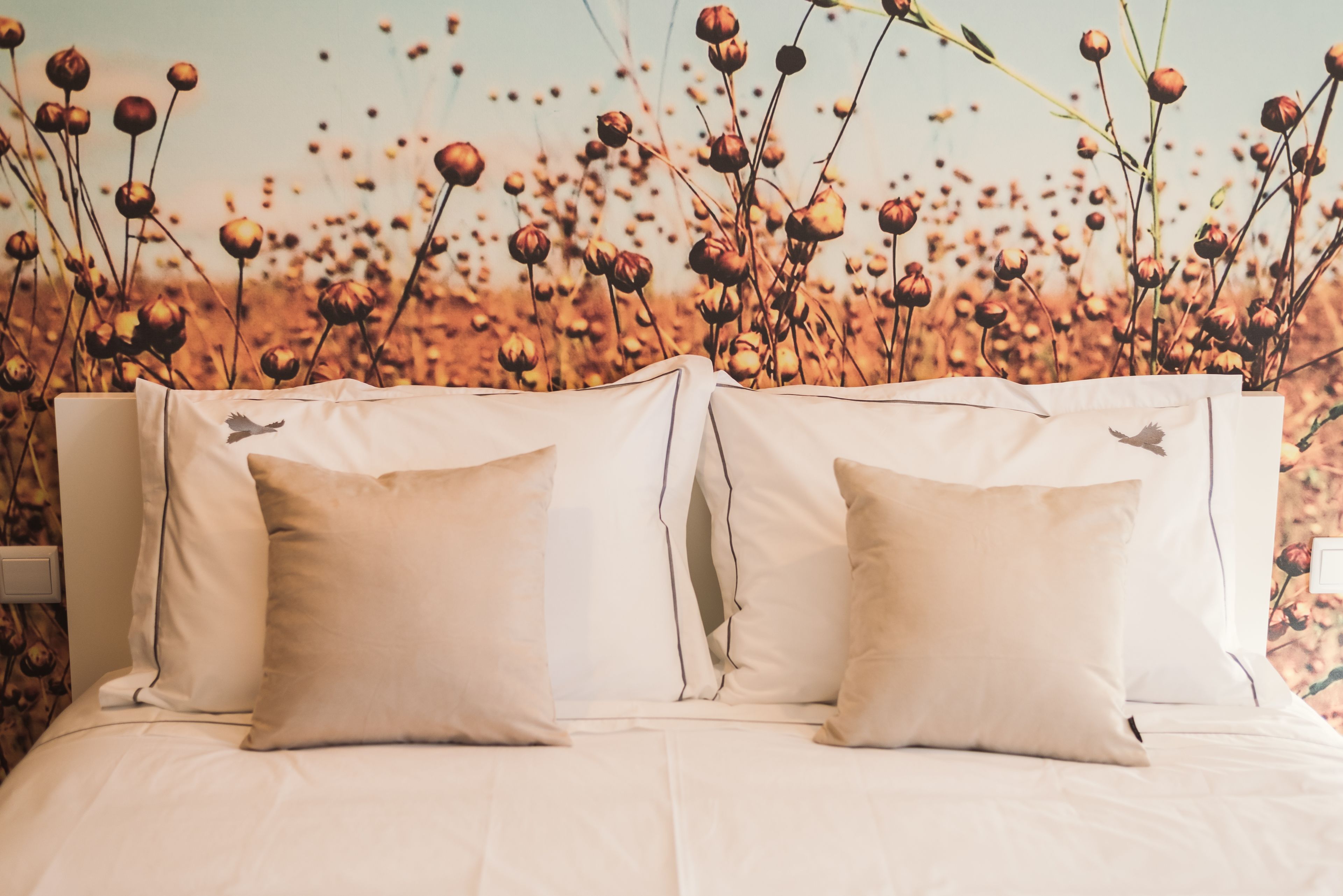 Pousadela Village Among Nature