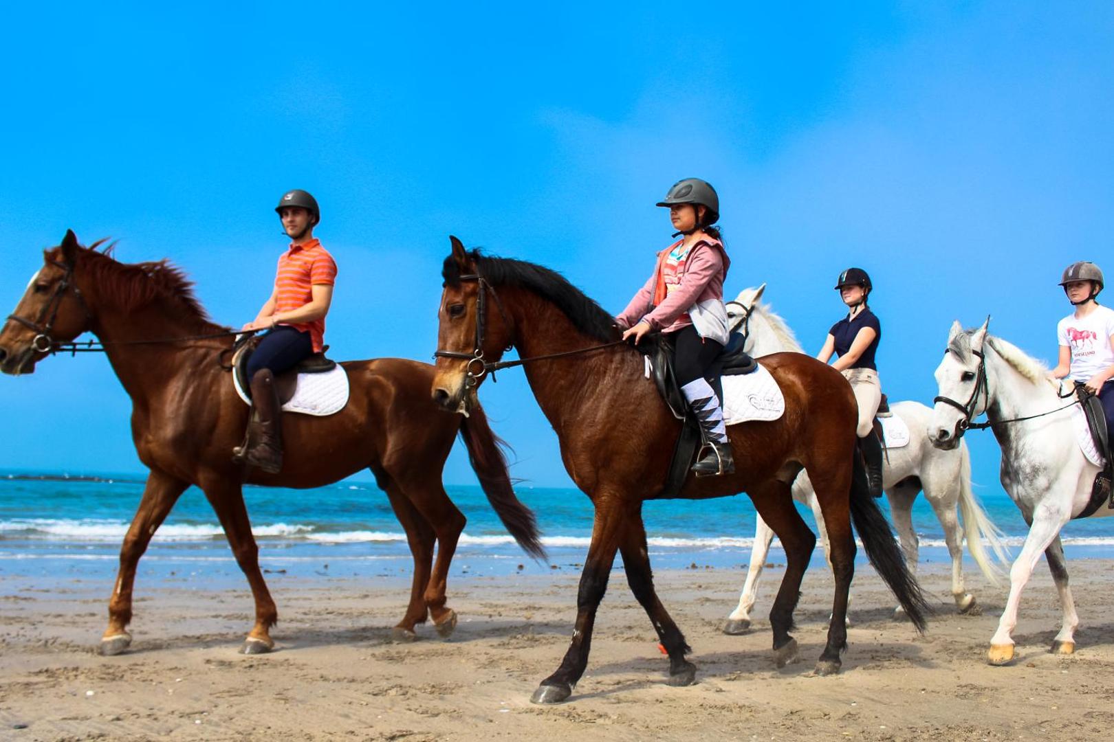 InnEsposende Sports Hostel