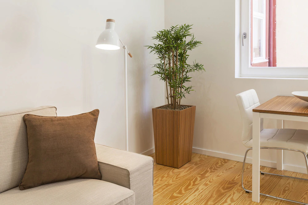 BO - Fernandes Tomás Apartments