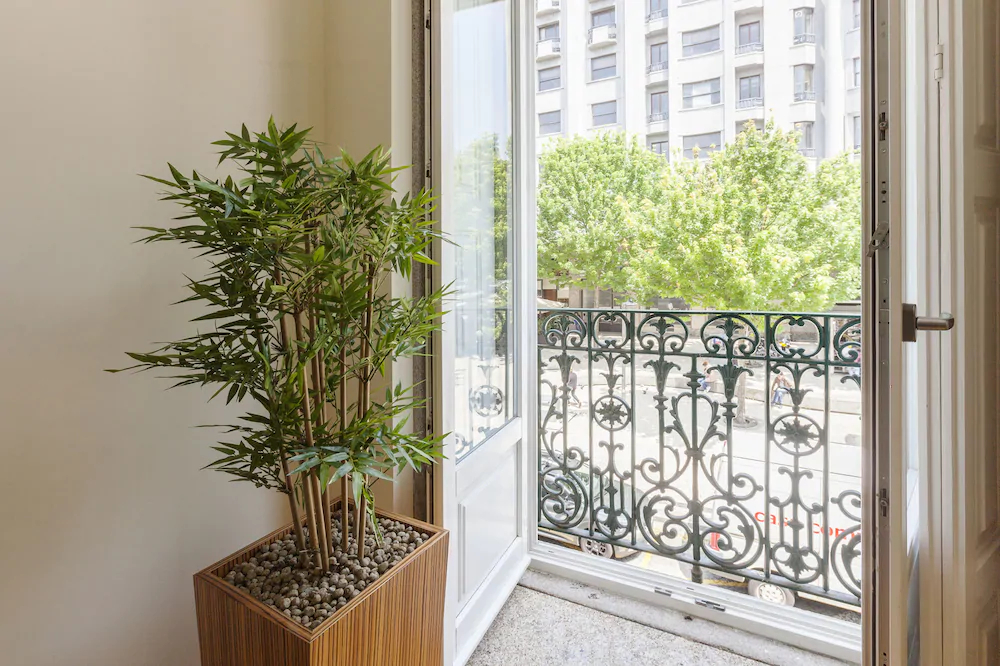 BO - Fernandes Tomás Apartments