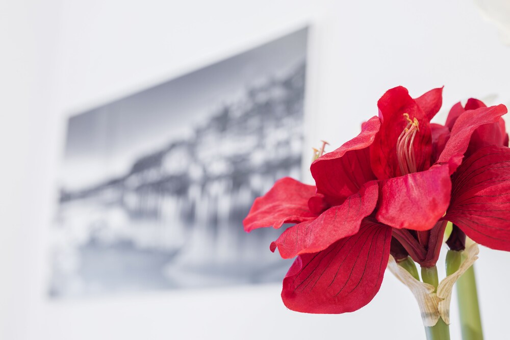 Dot Oporto Flats by Porto City Hosts