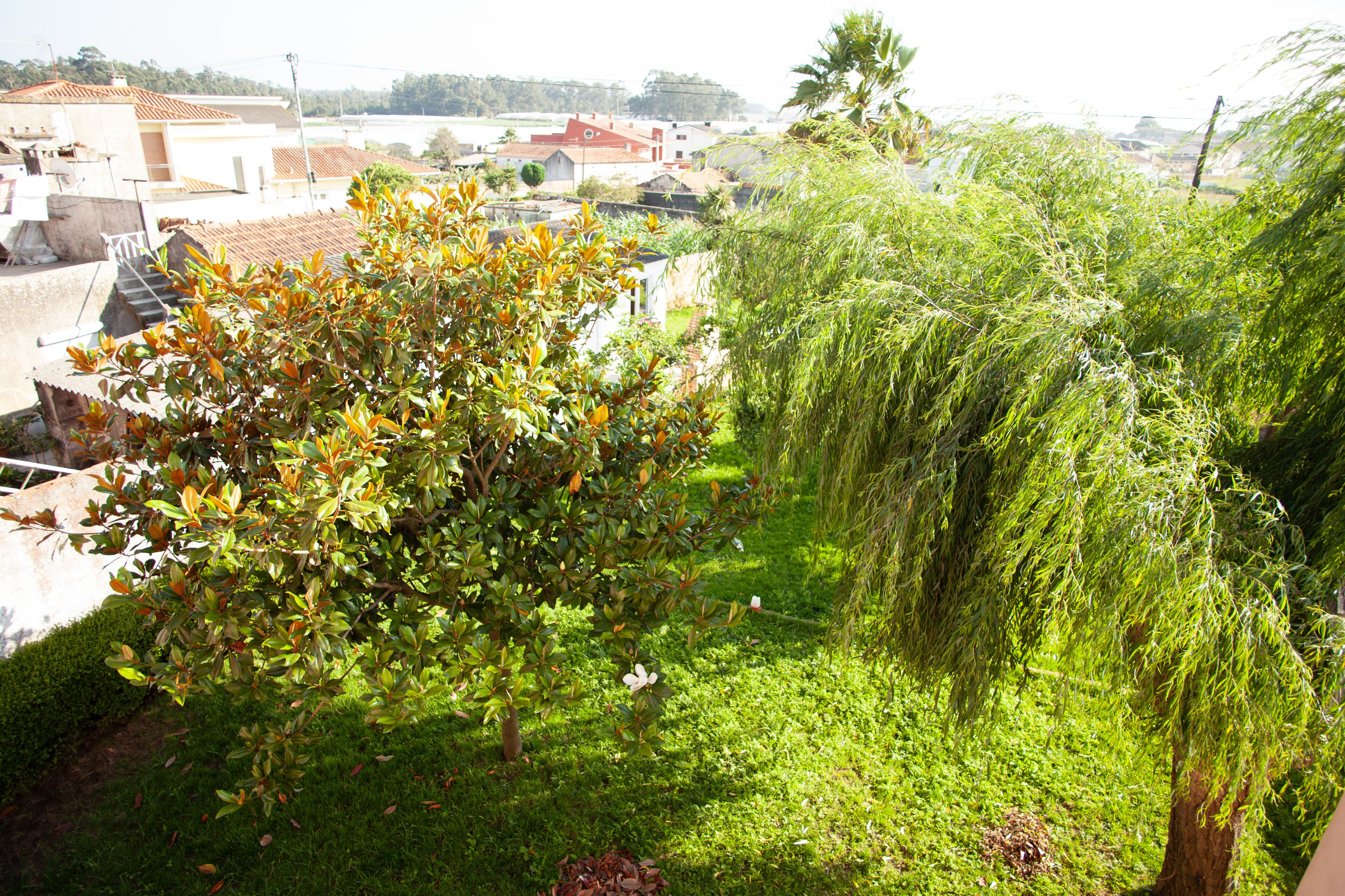 Estela Surf & Hostel