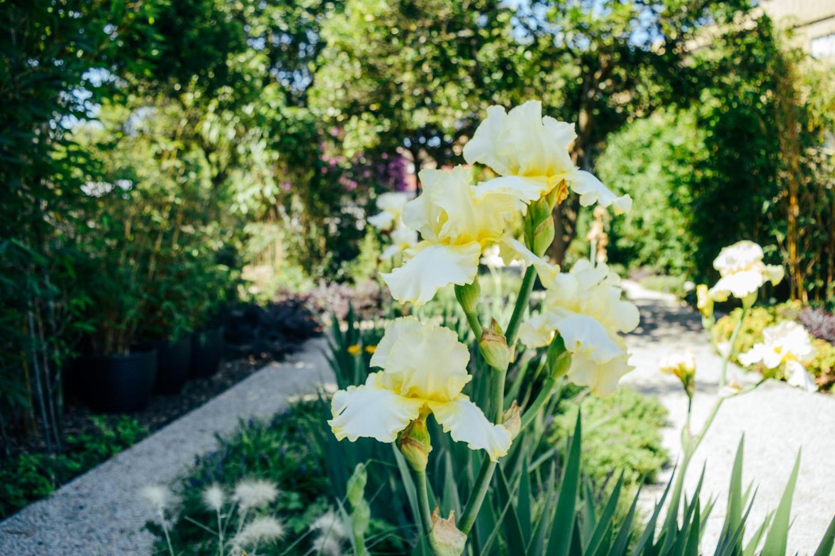 Queen's Garden Hostel