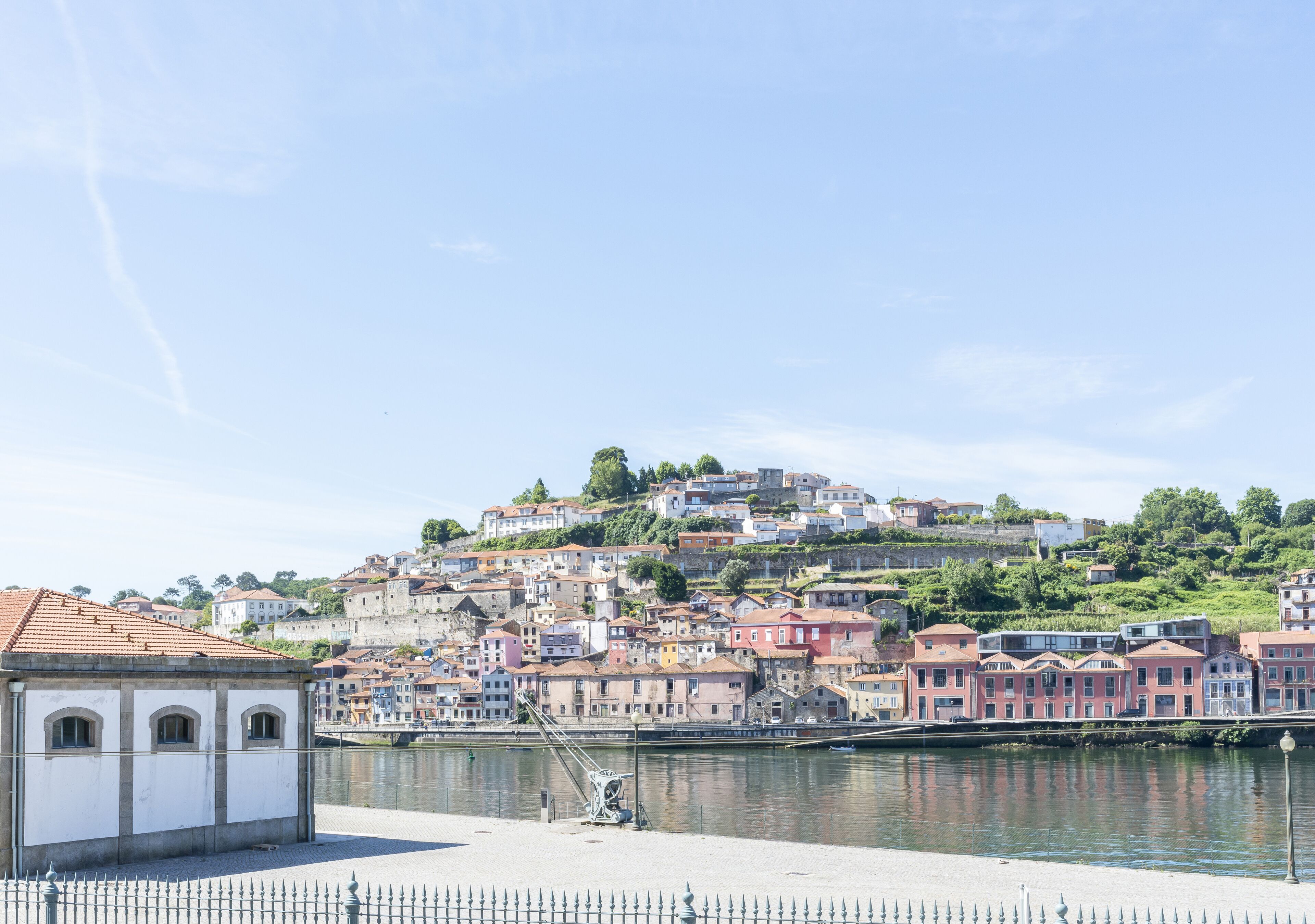 Oporto Street Miragaia