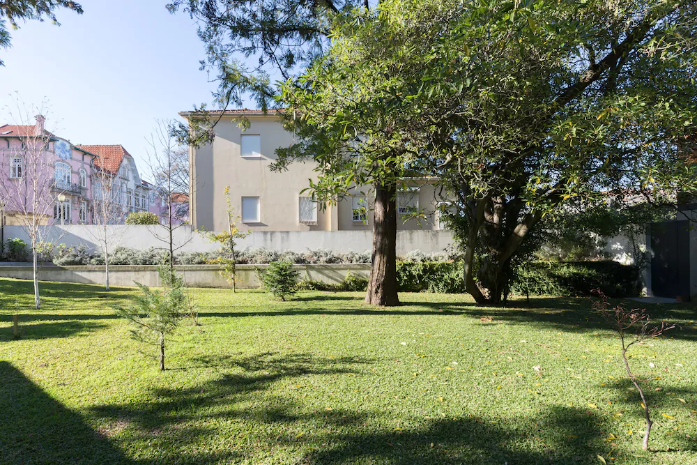 The Blue Guest House